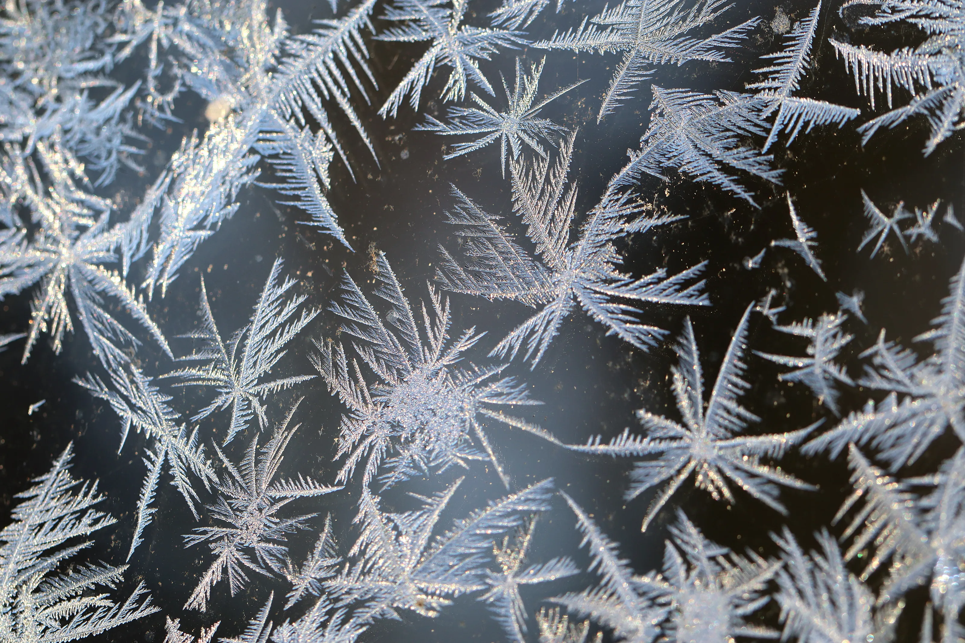 Frost on Windows (in colour)