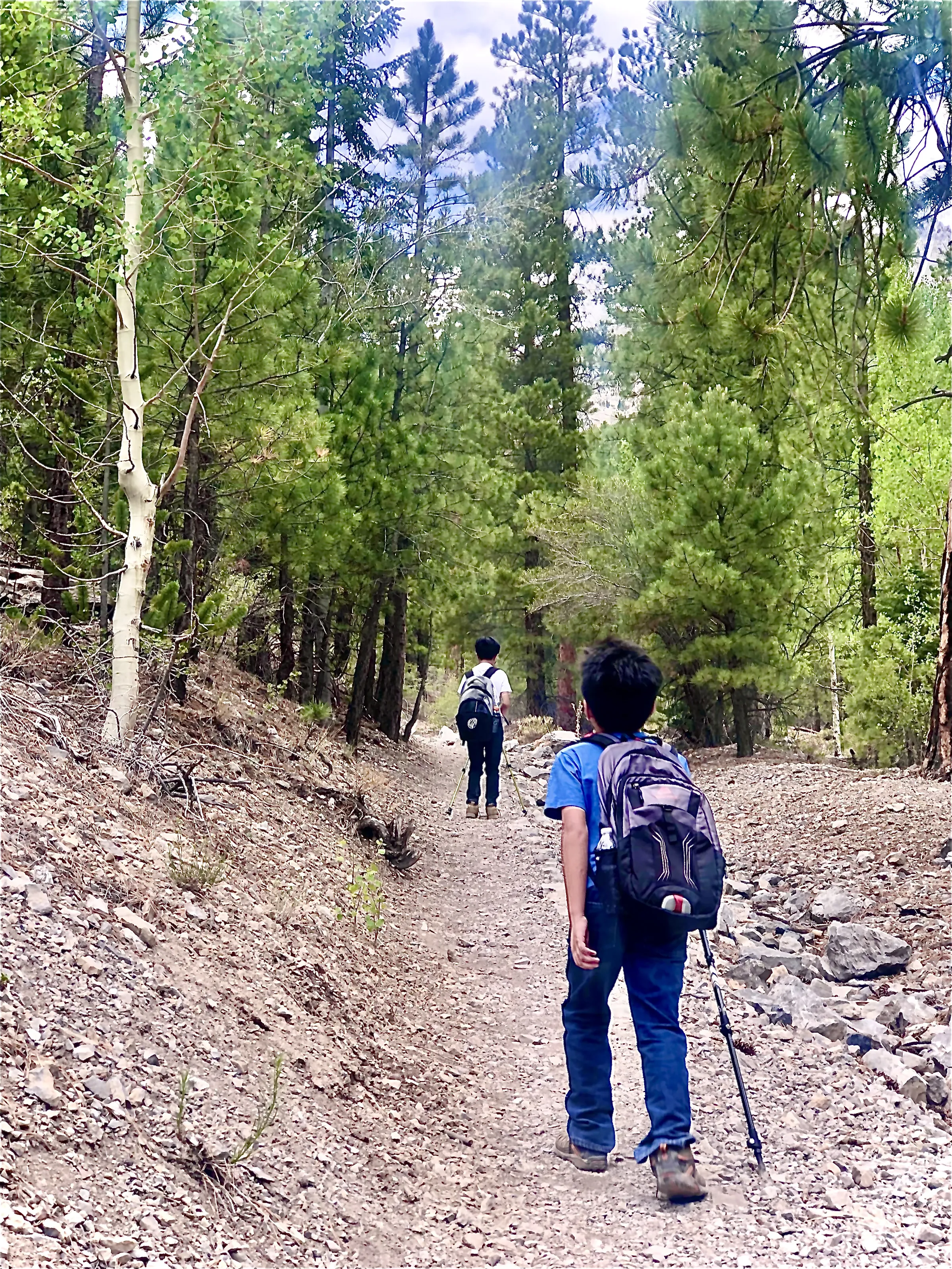 Kids Hiking