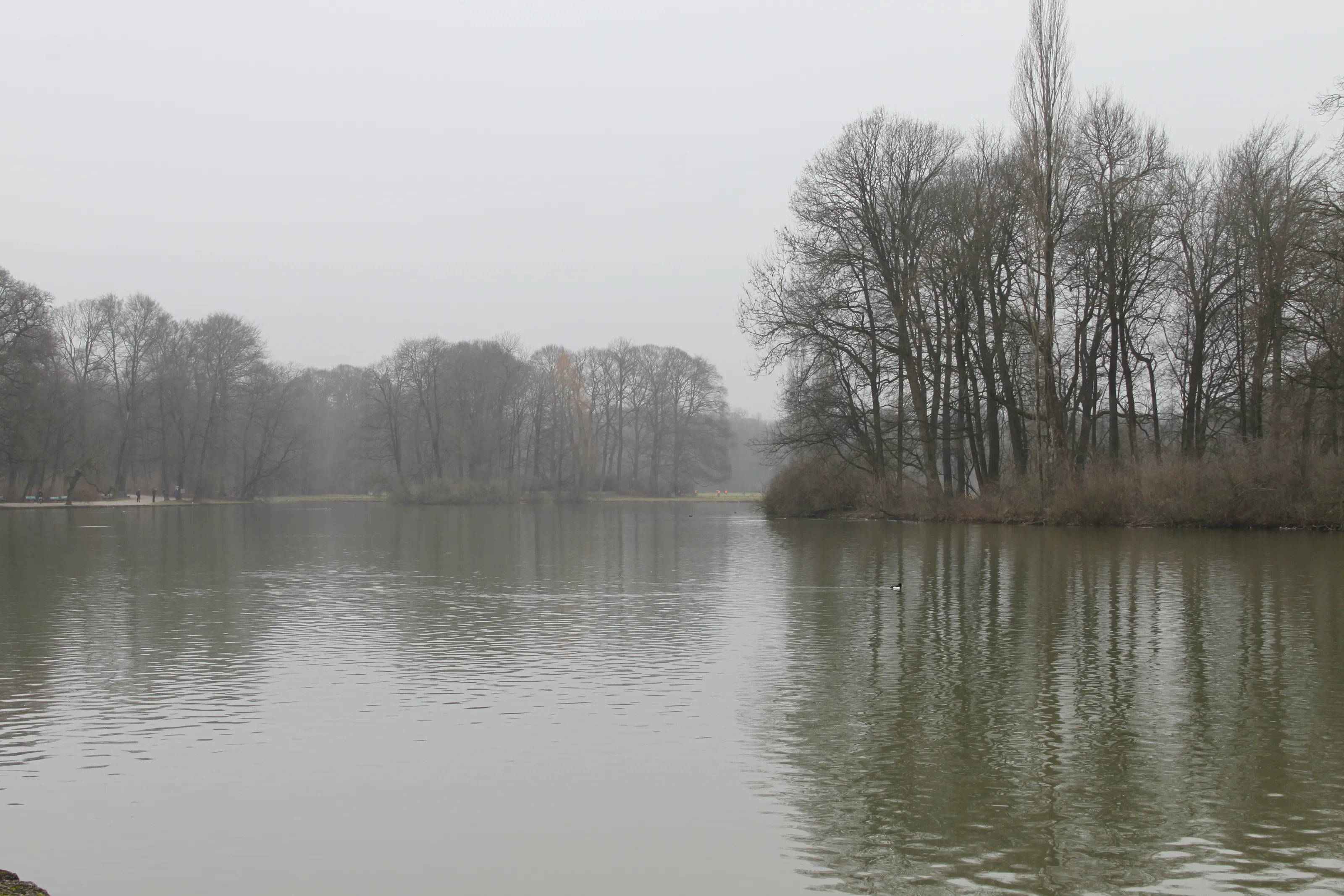 The Beauty of Winter