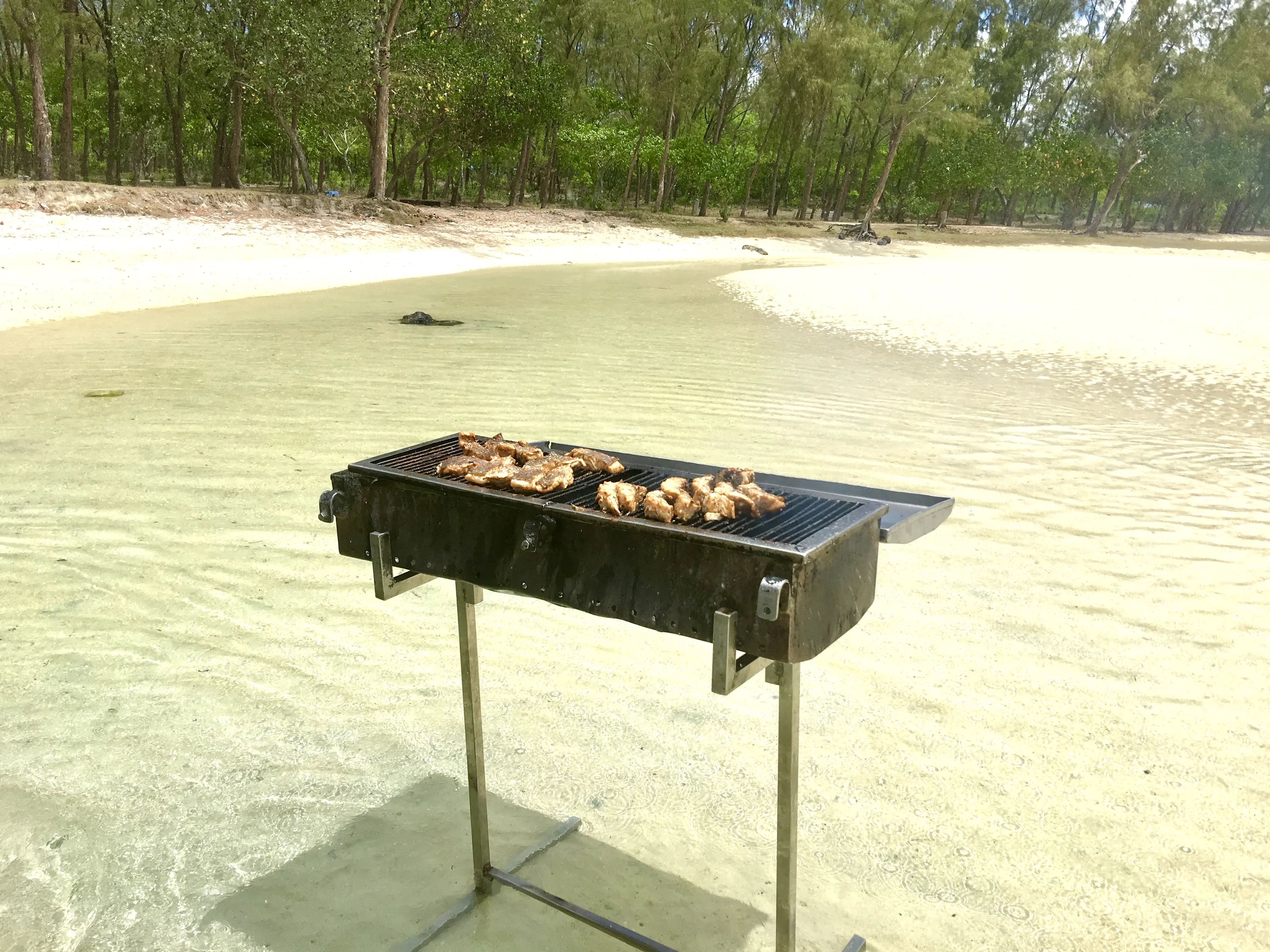 BBQs in Use