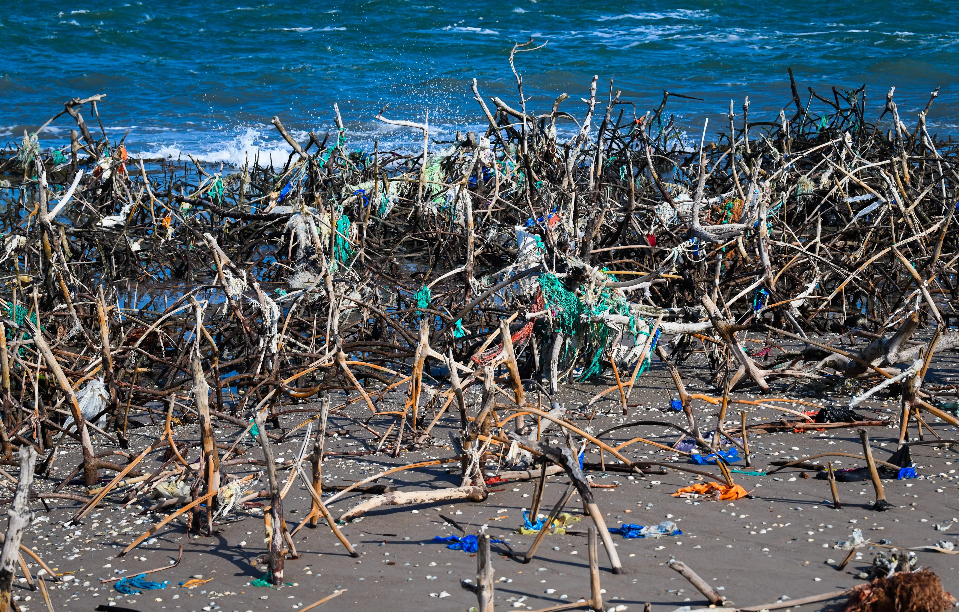 Plastic Pollution