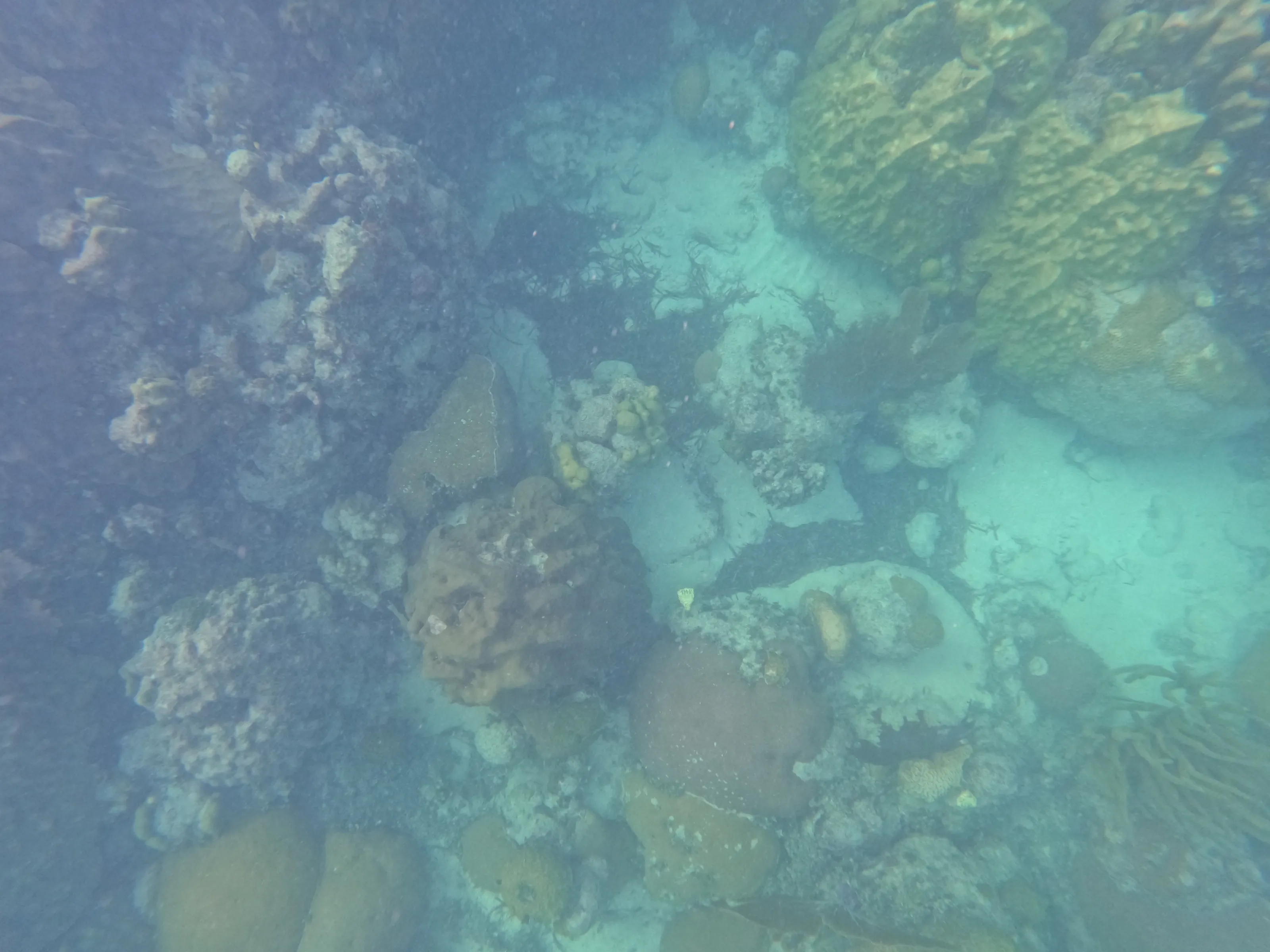 Underwater