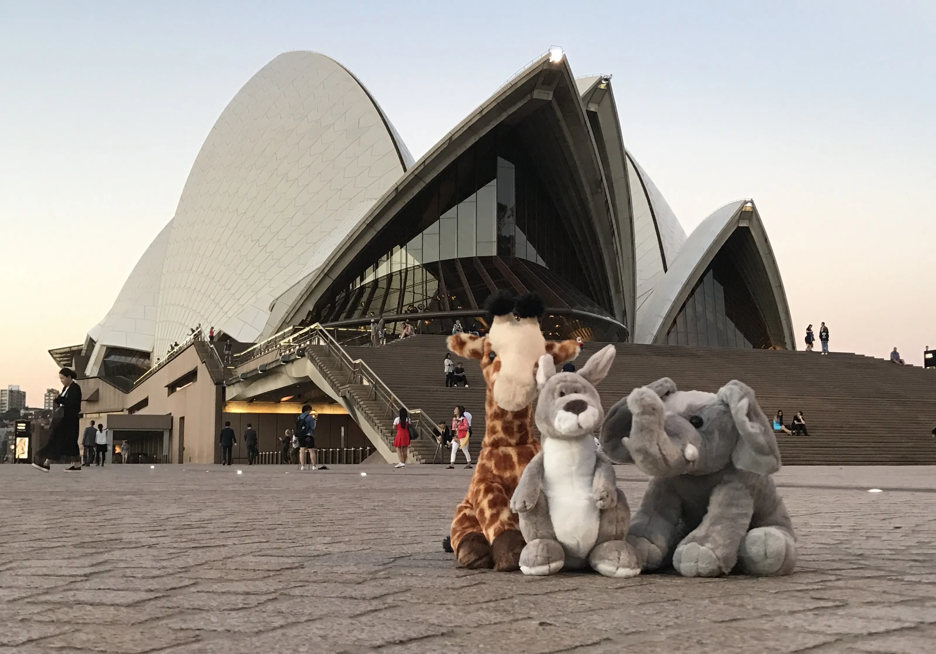 Soft Toy Animals Posed in Human Situations
