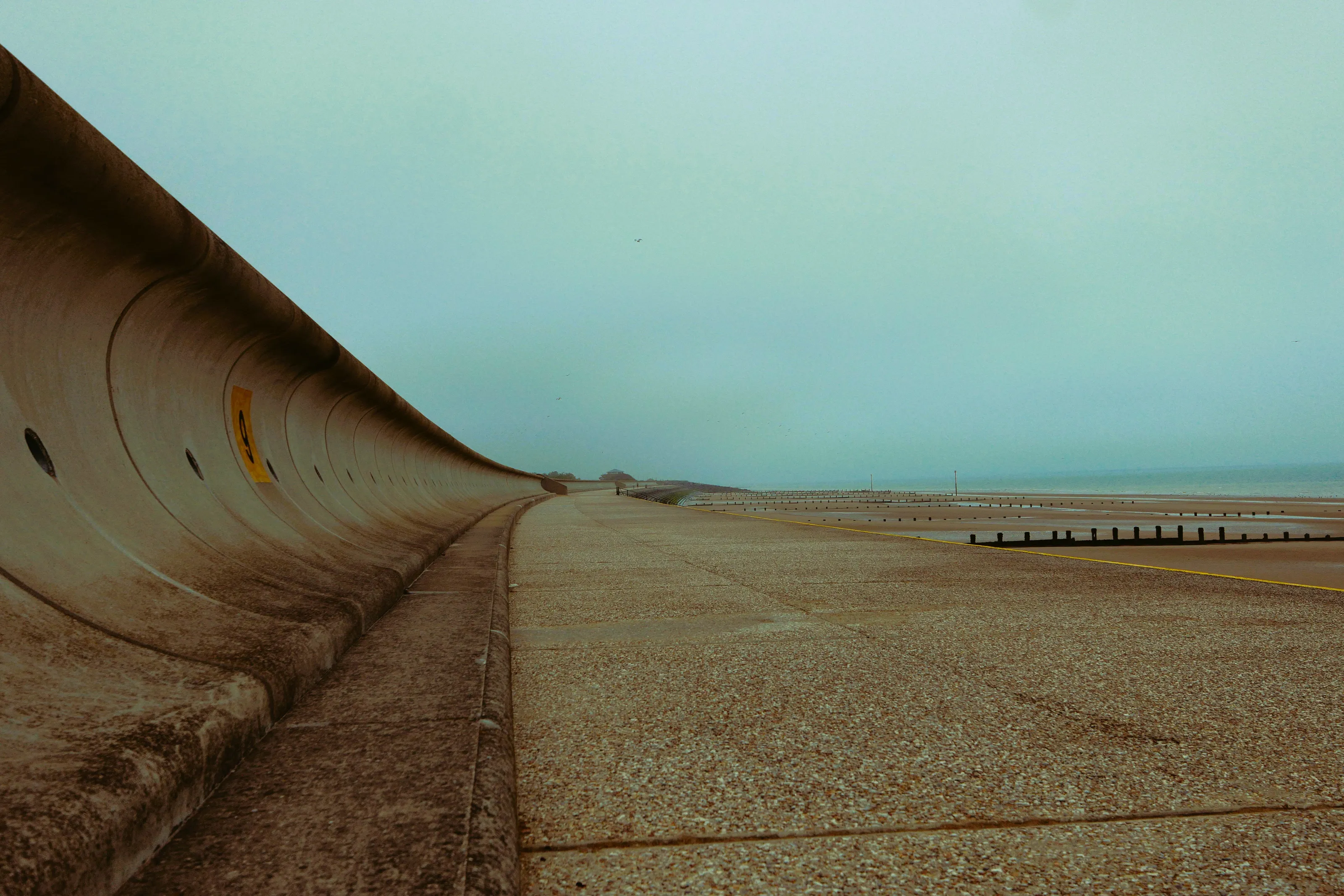 Beaches and Shorelines