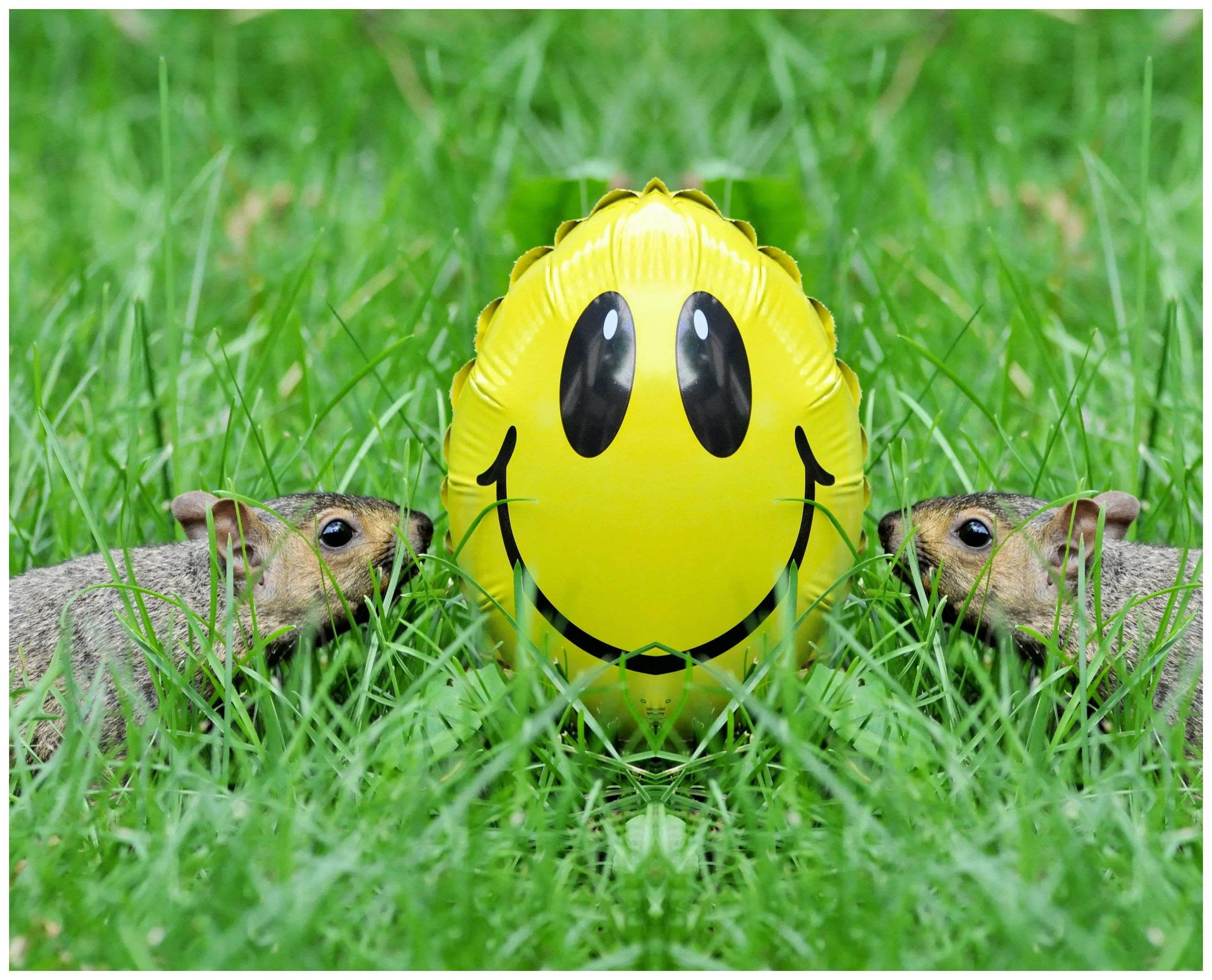 Smileys (in colour)