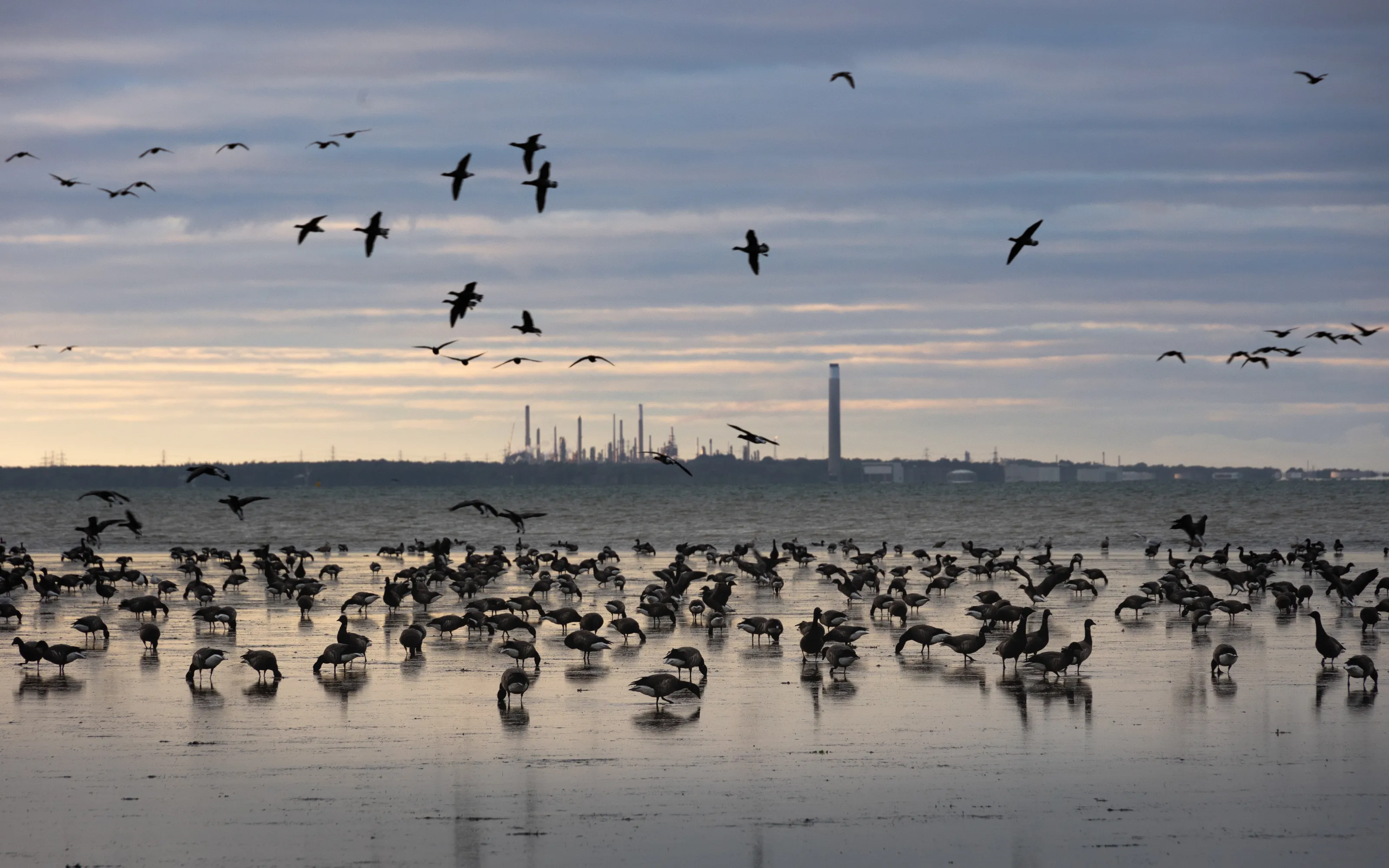 Industry on the Horizon
