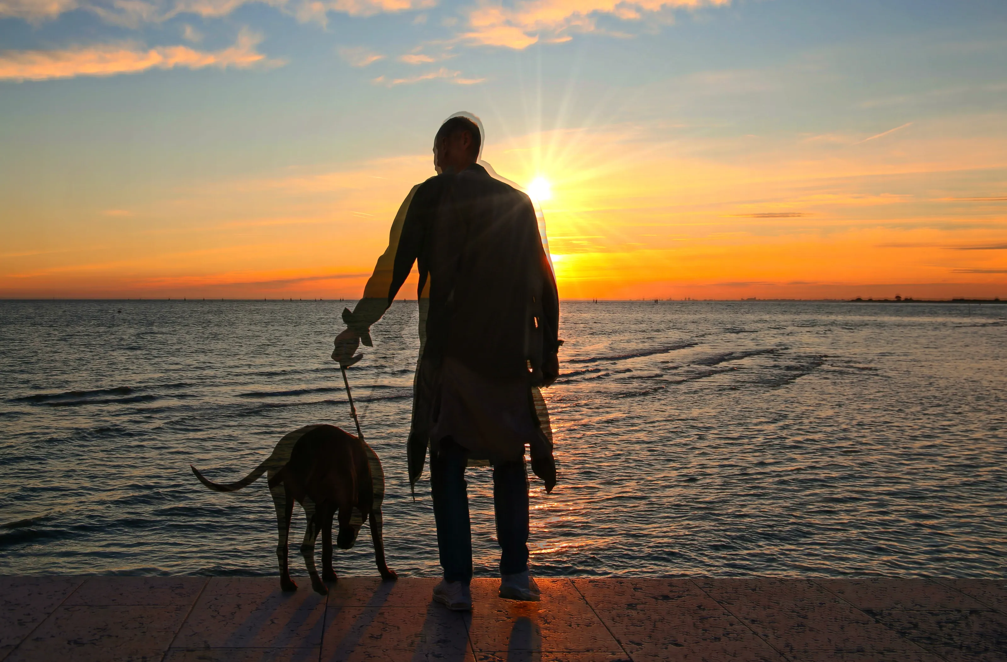 Human or Animal Silhouettes