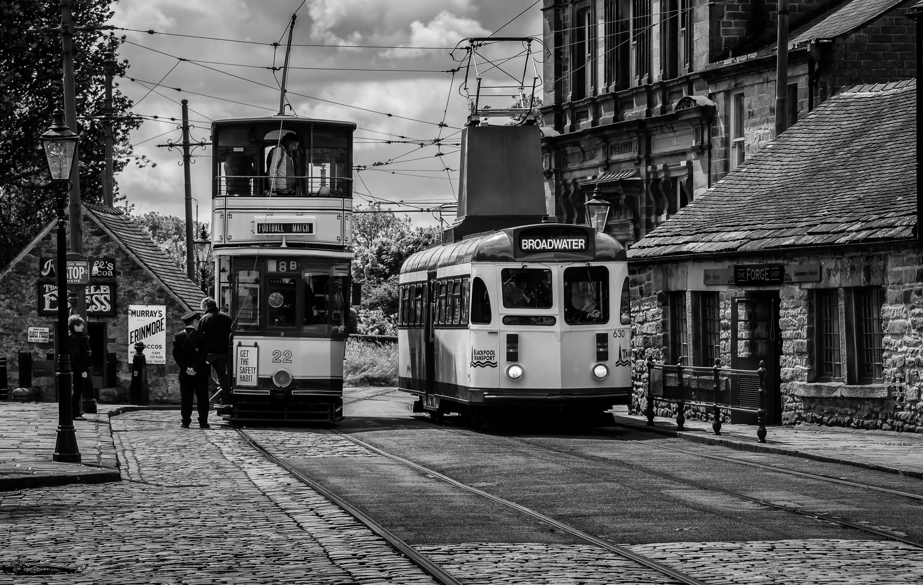 Trams