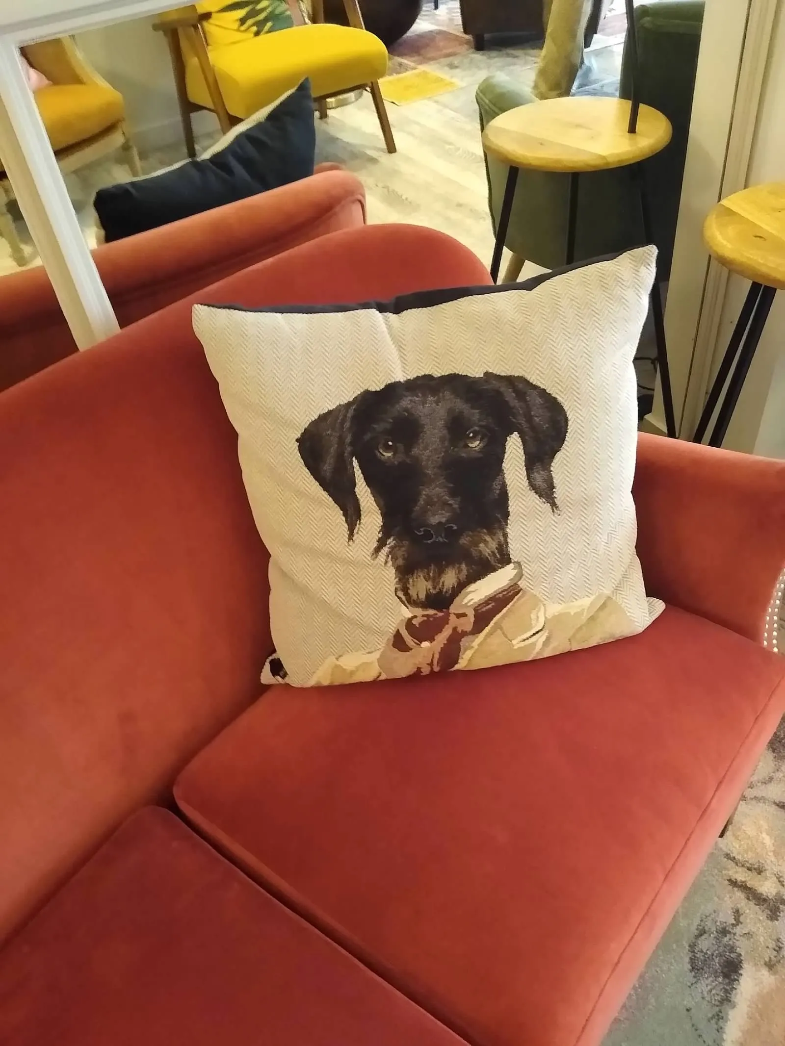 Pillows and Cushions (in colour)