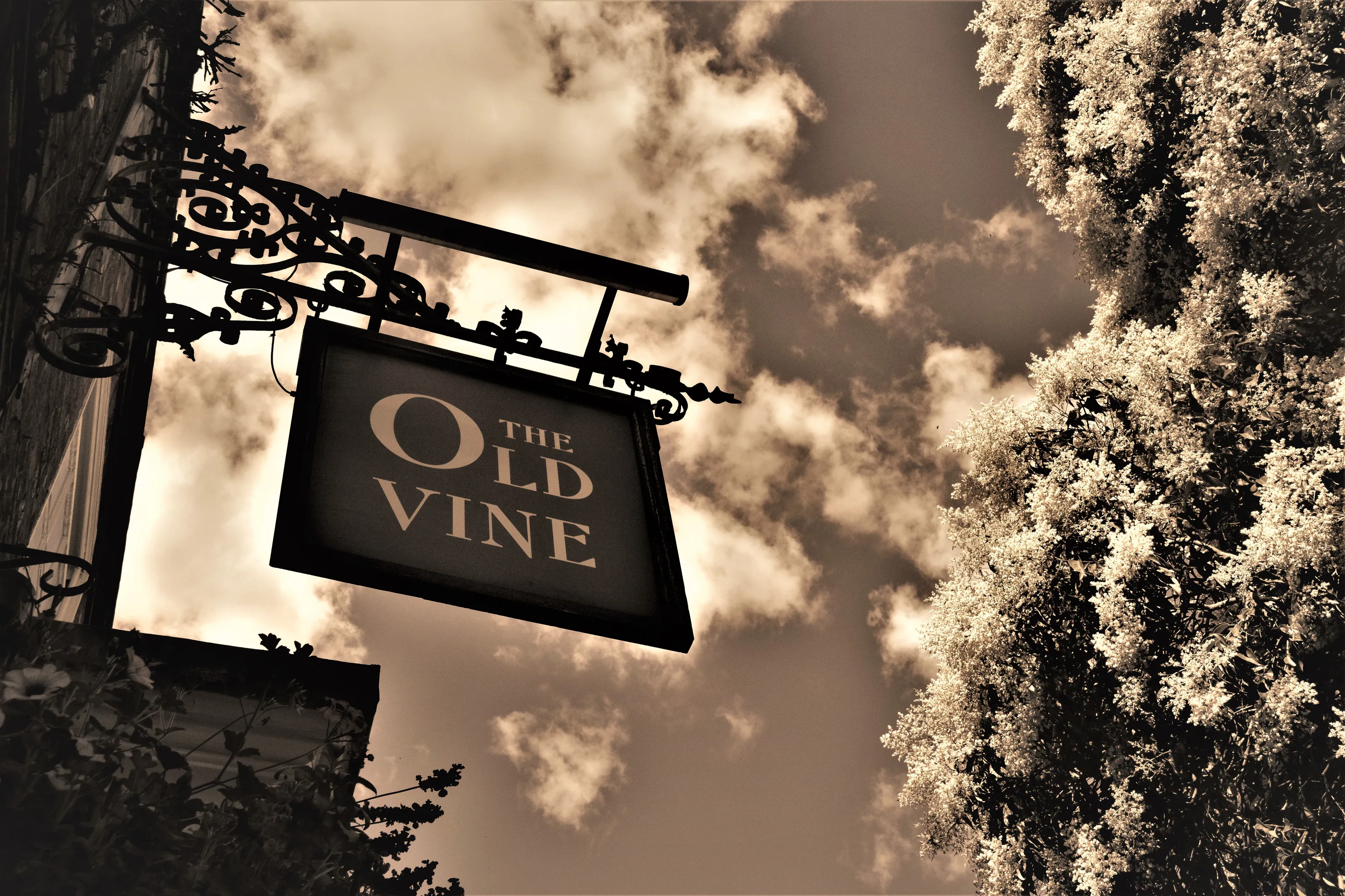 Pub Name Signs