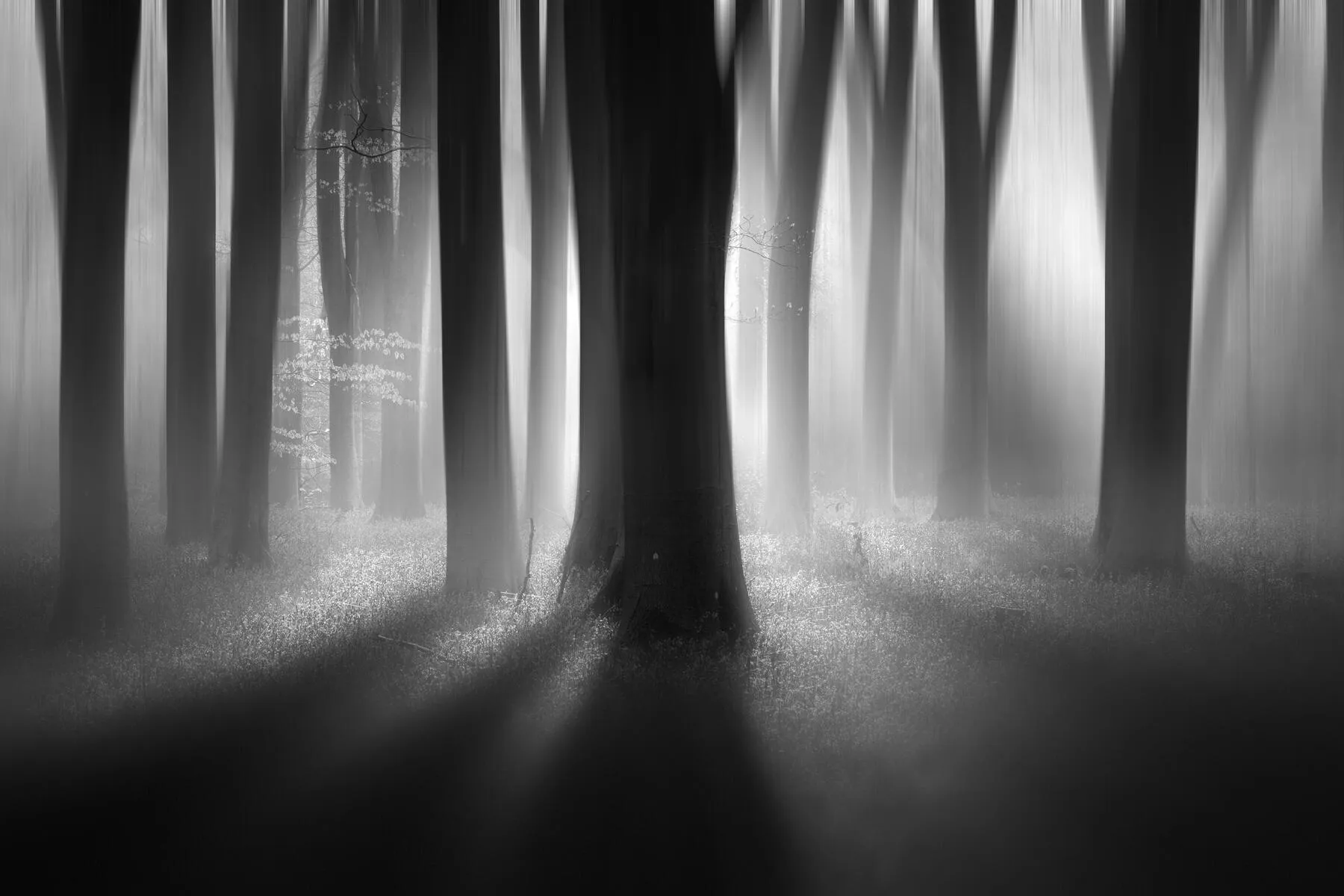 Black and White Landscapes