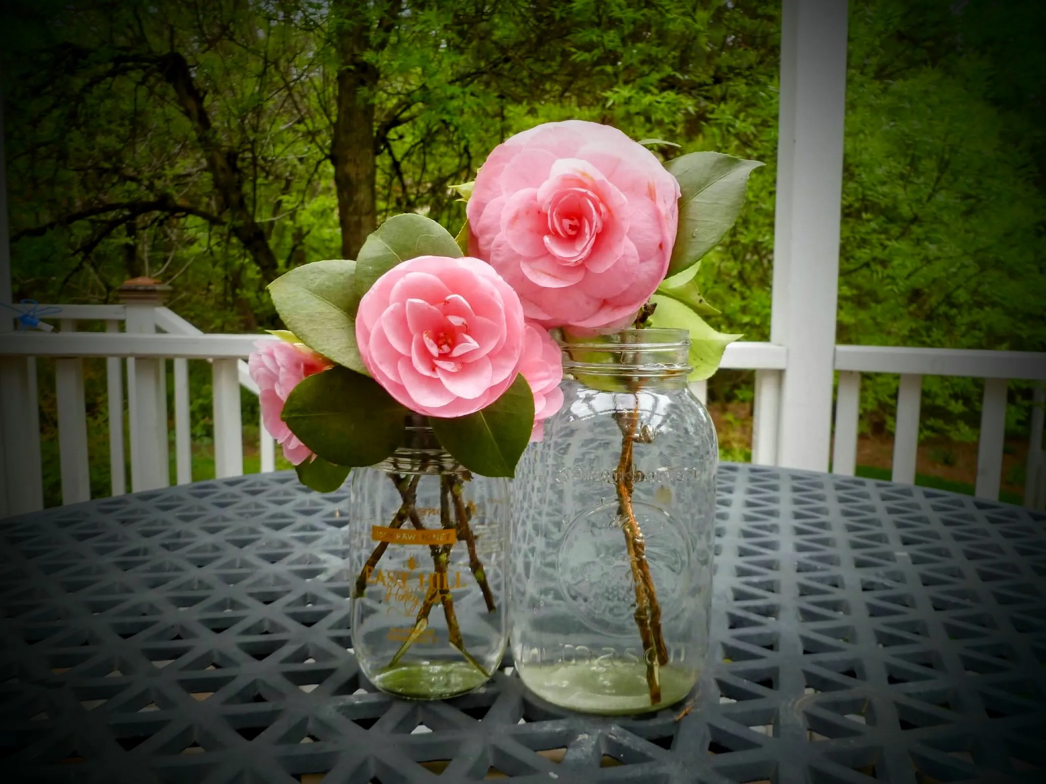Cut Flowers (in colour)