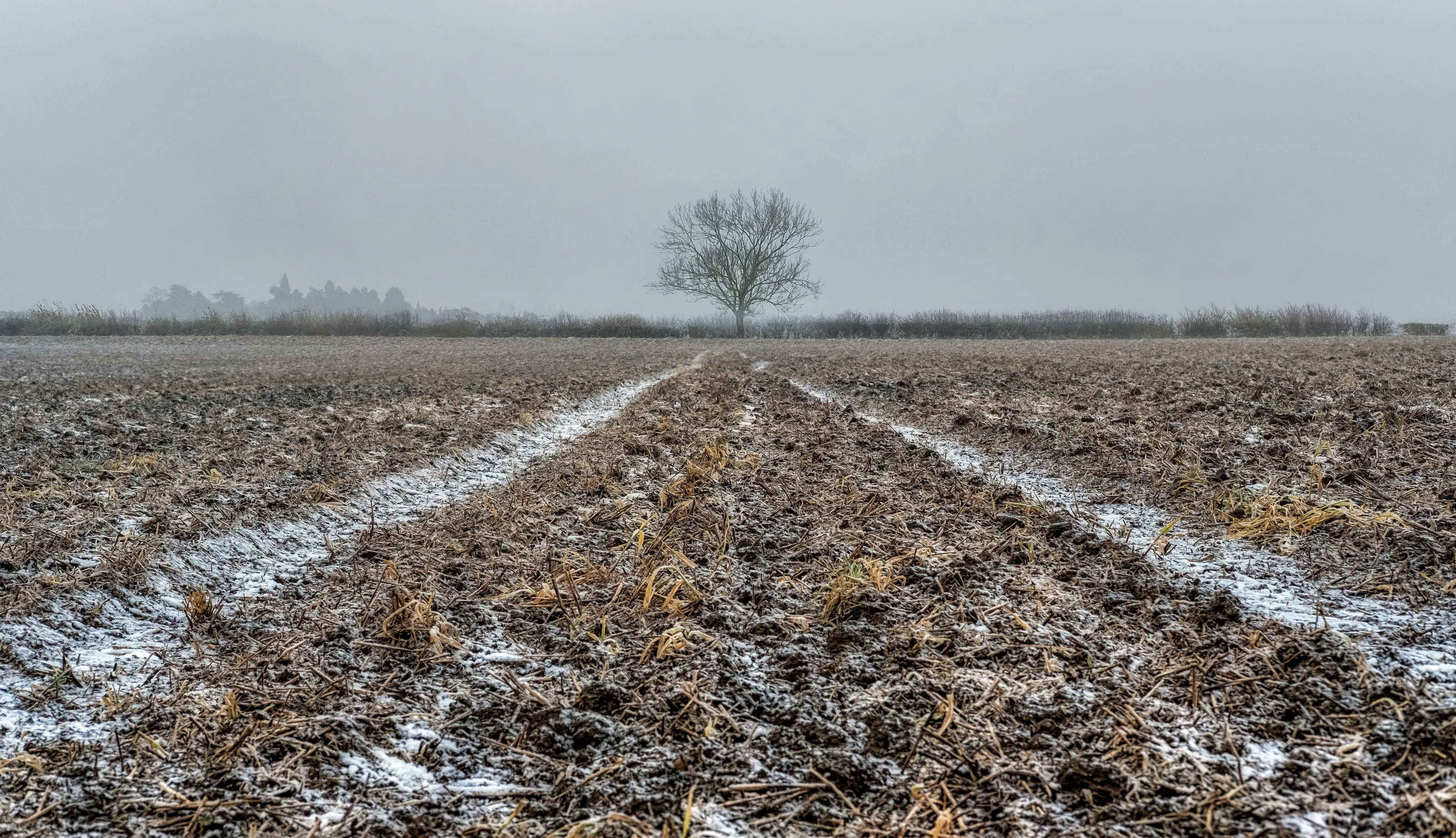 Agricultural Landscapes