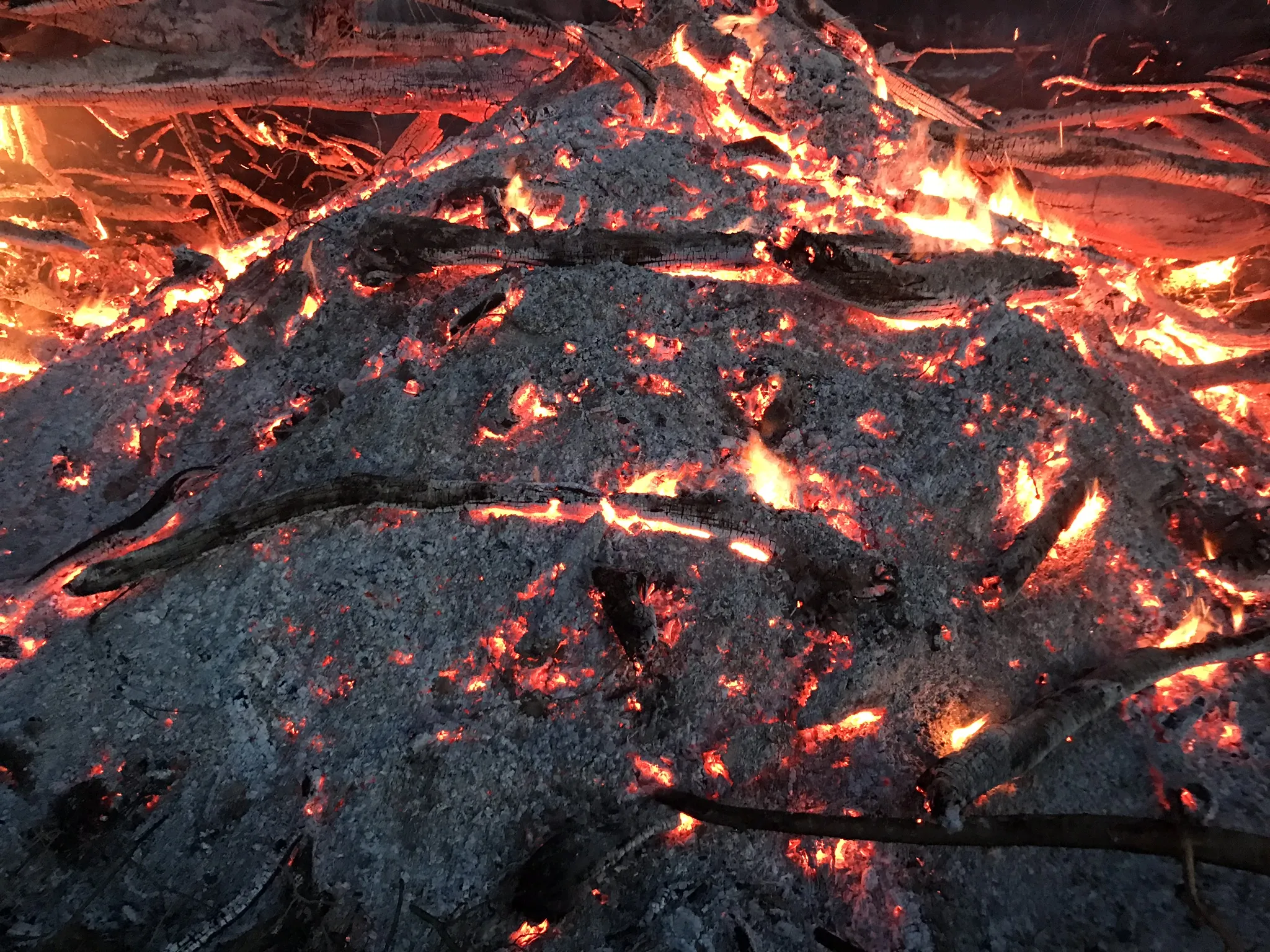Fire and Flames (in colour)