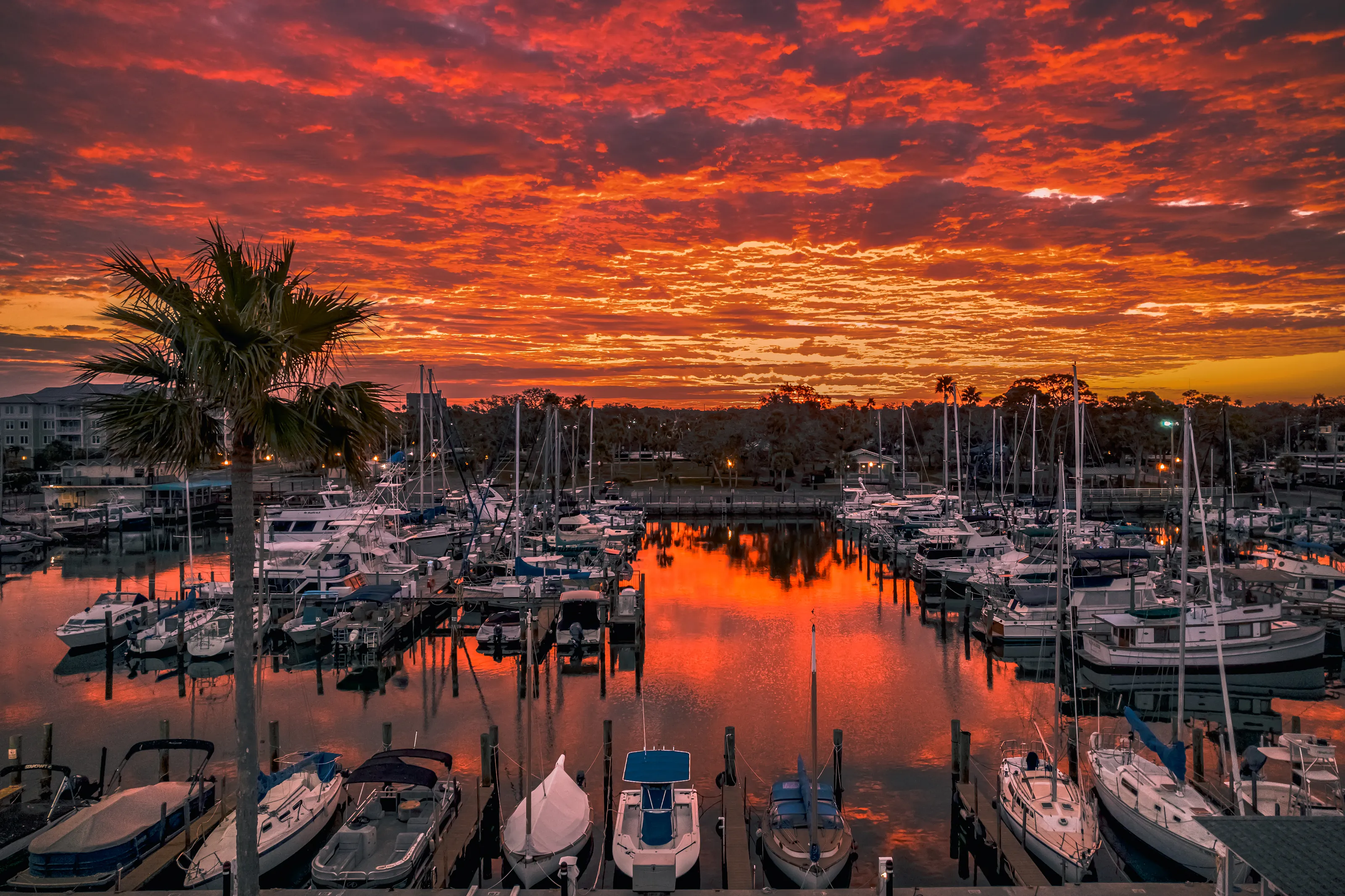 Boats in Marinas