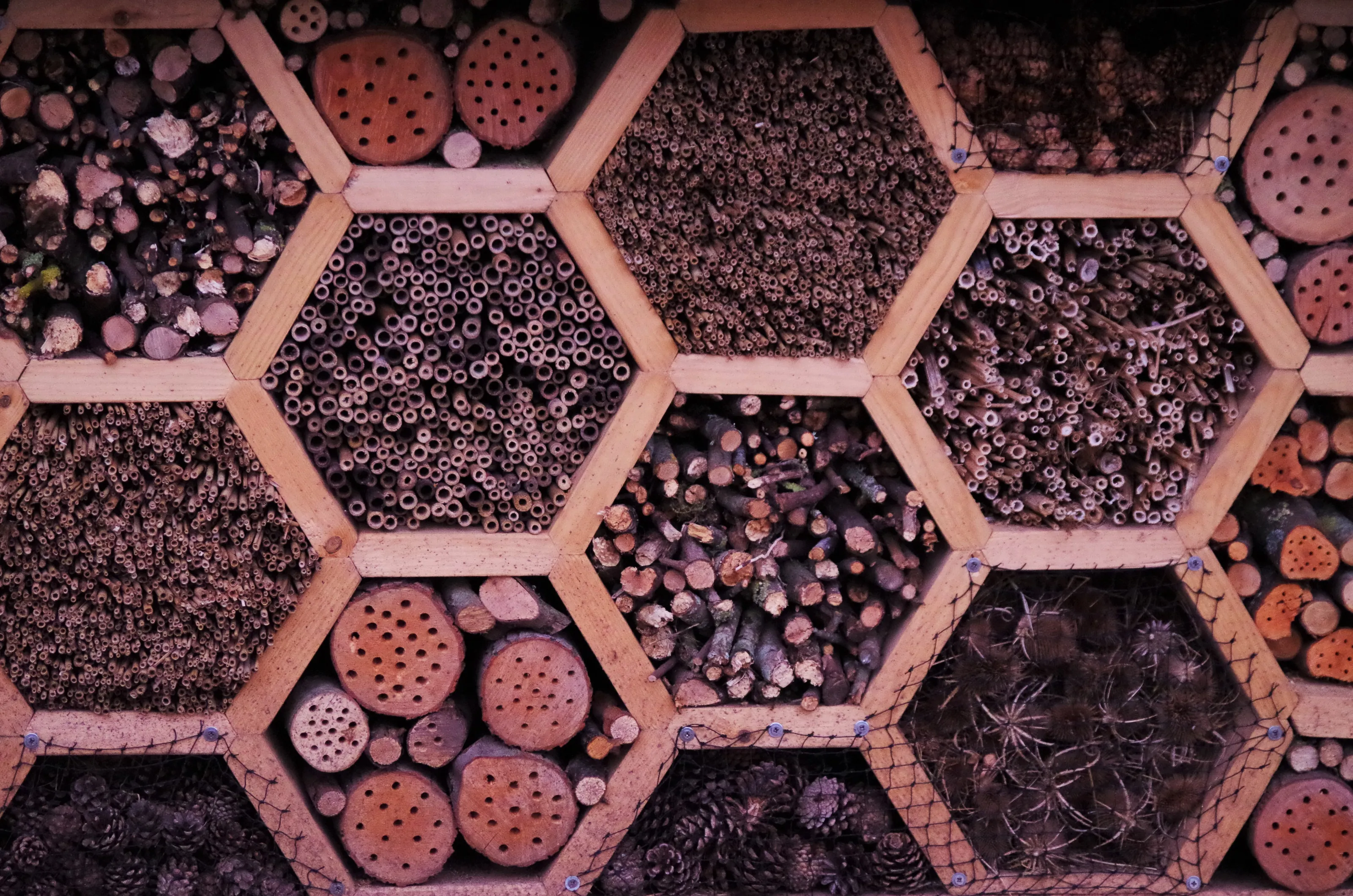 Hexagons