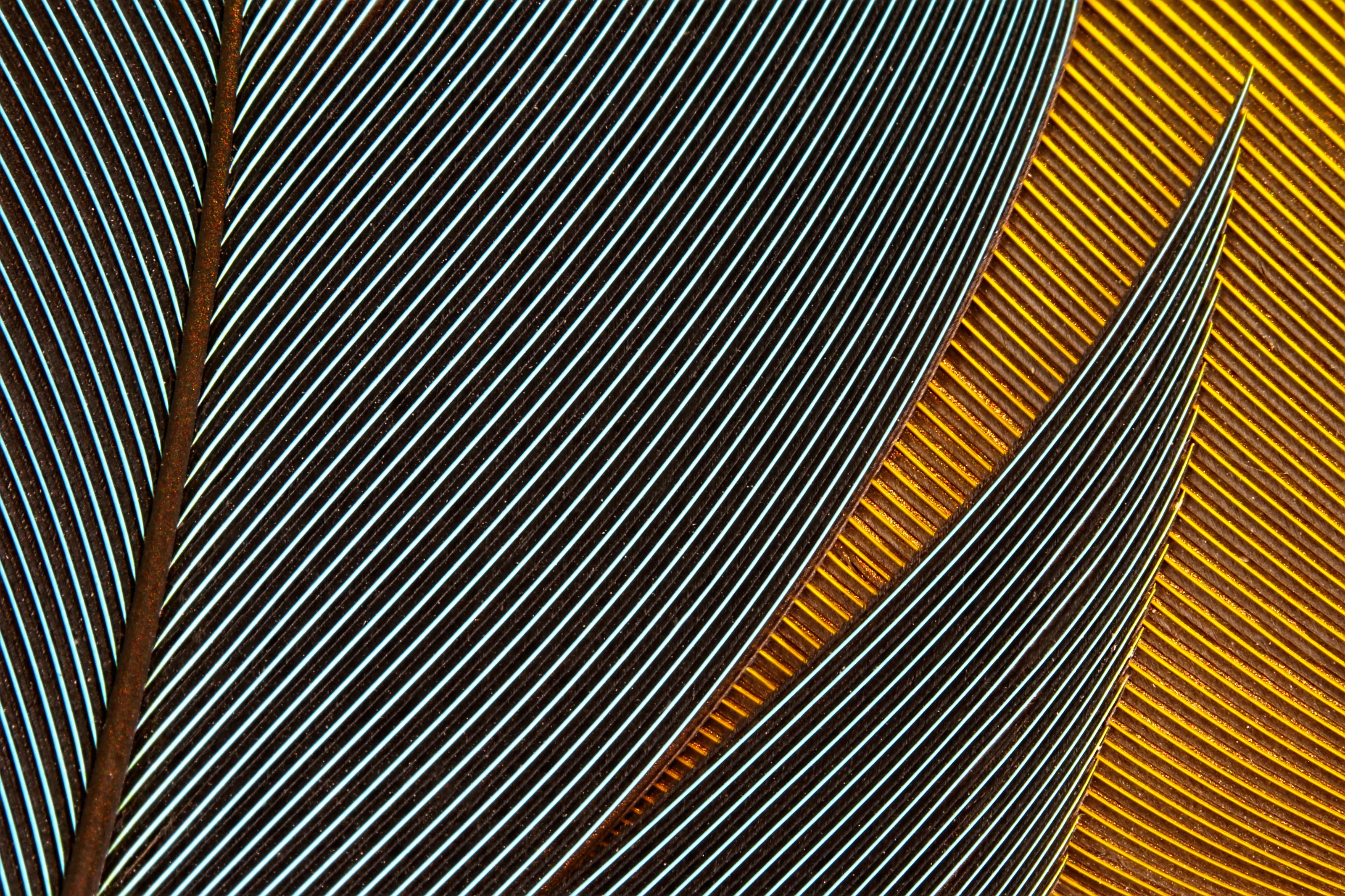 Abstract Macro