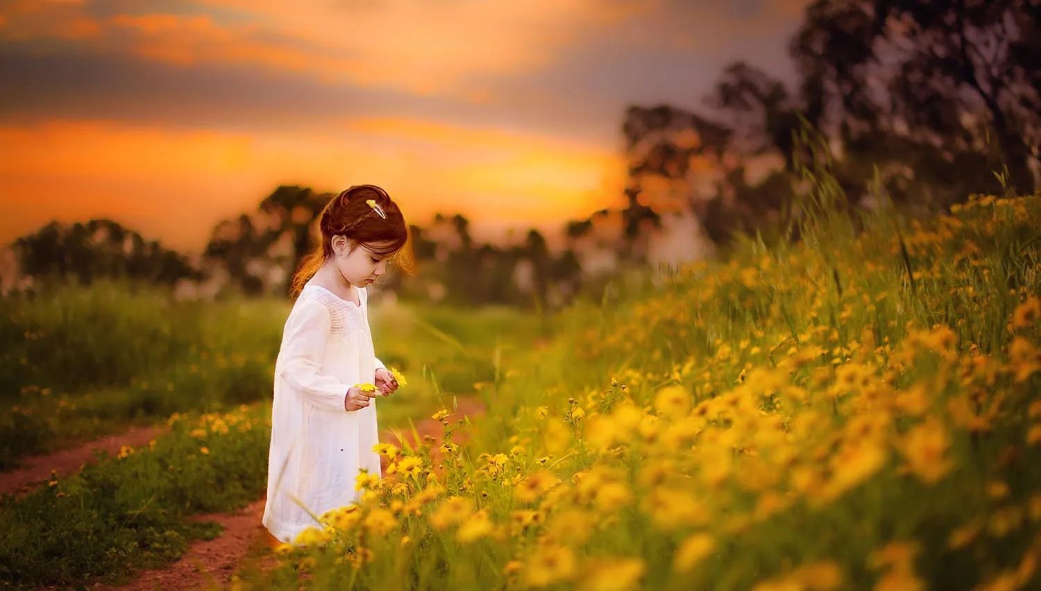 The Golden Hour