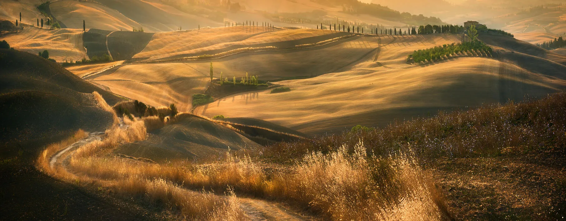 Brown and yellow landscapes