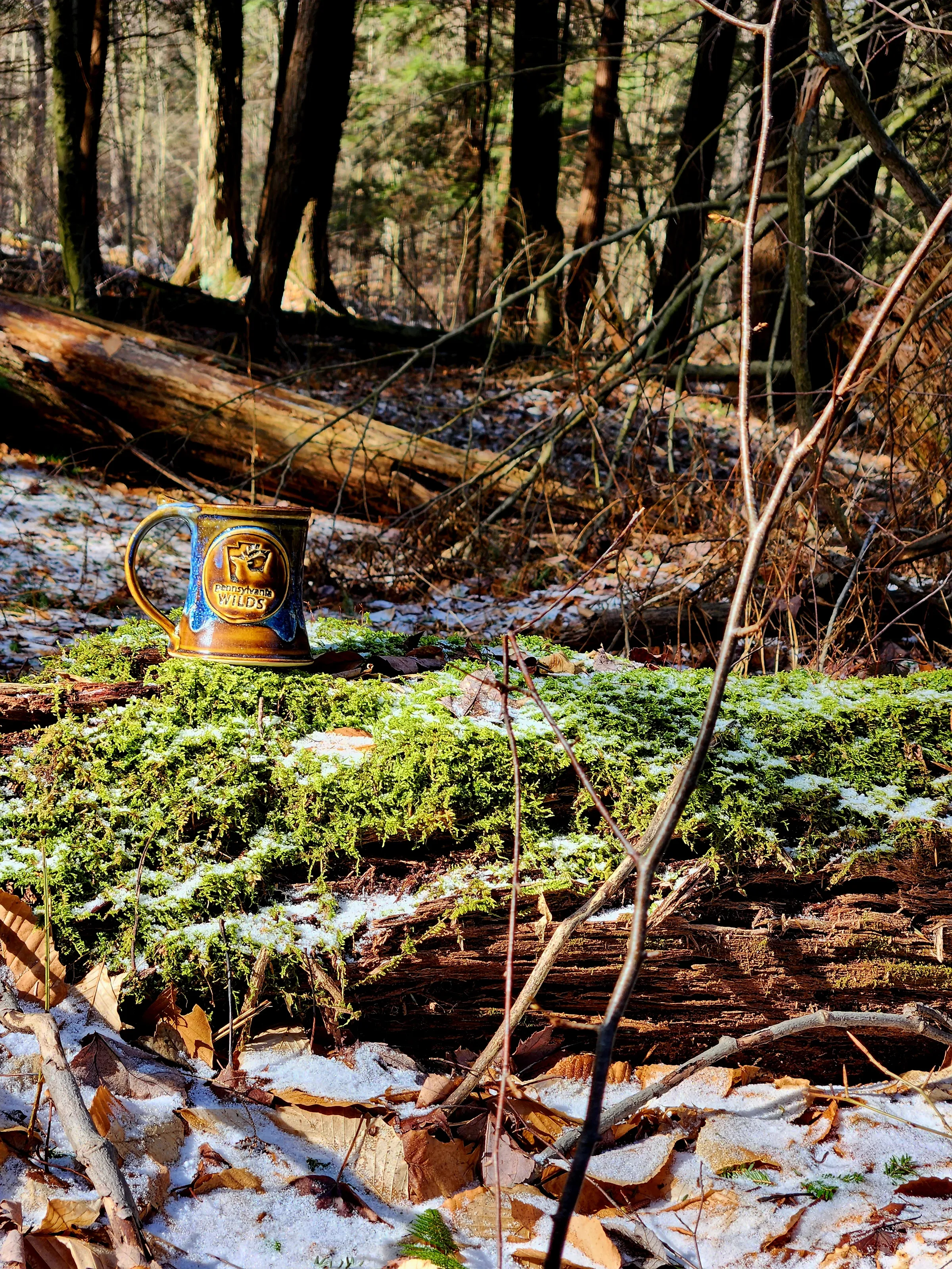 Mugs in your Favourite Places