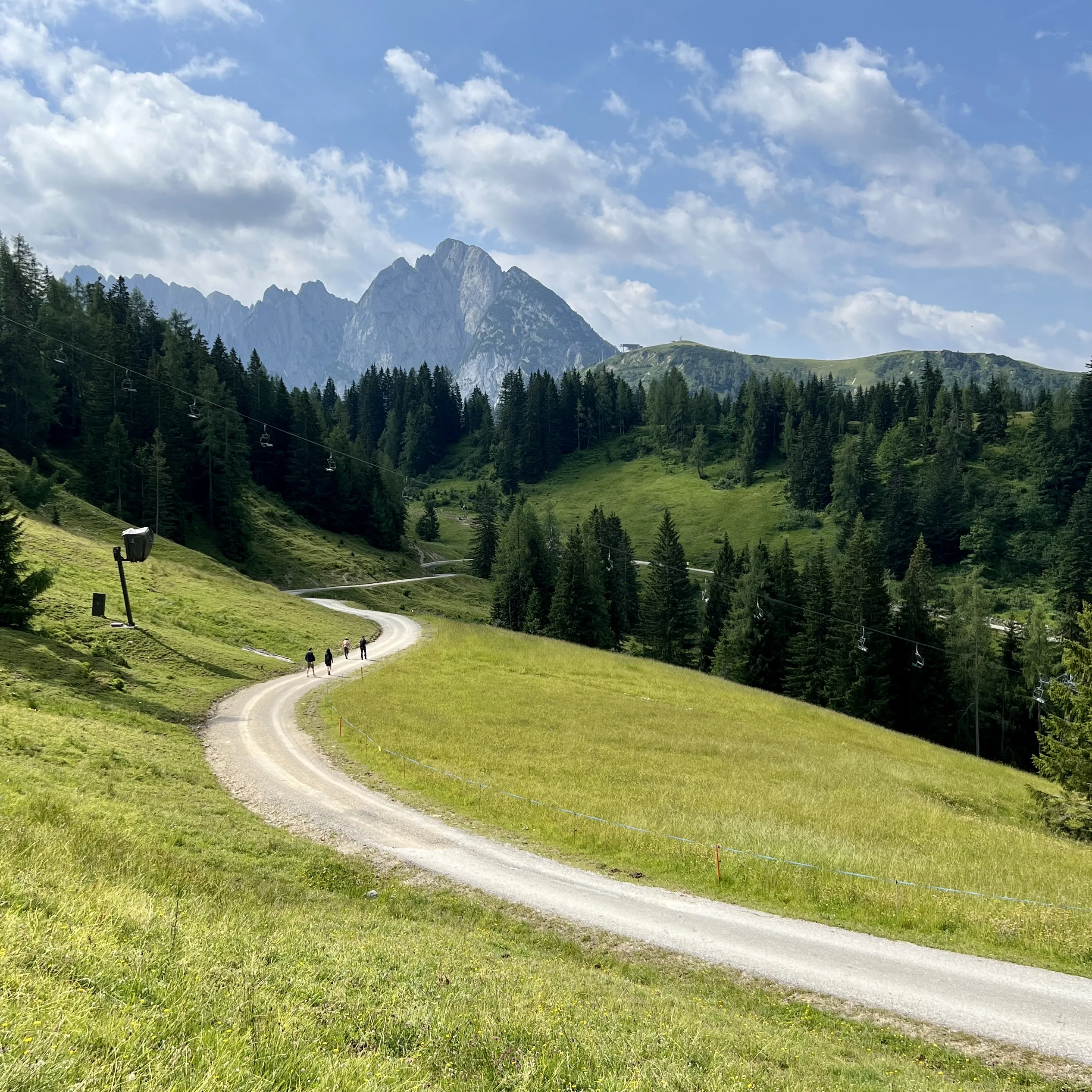 The Road Ahead