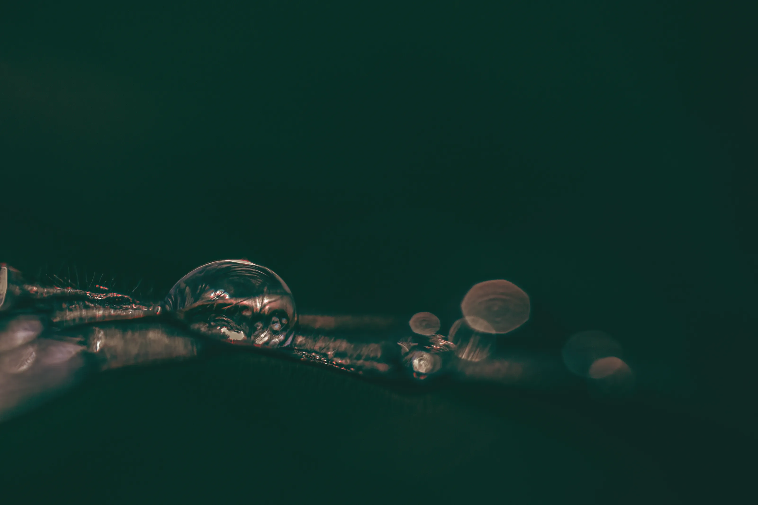 Waterdrops