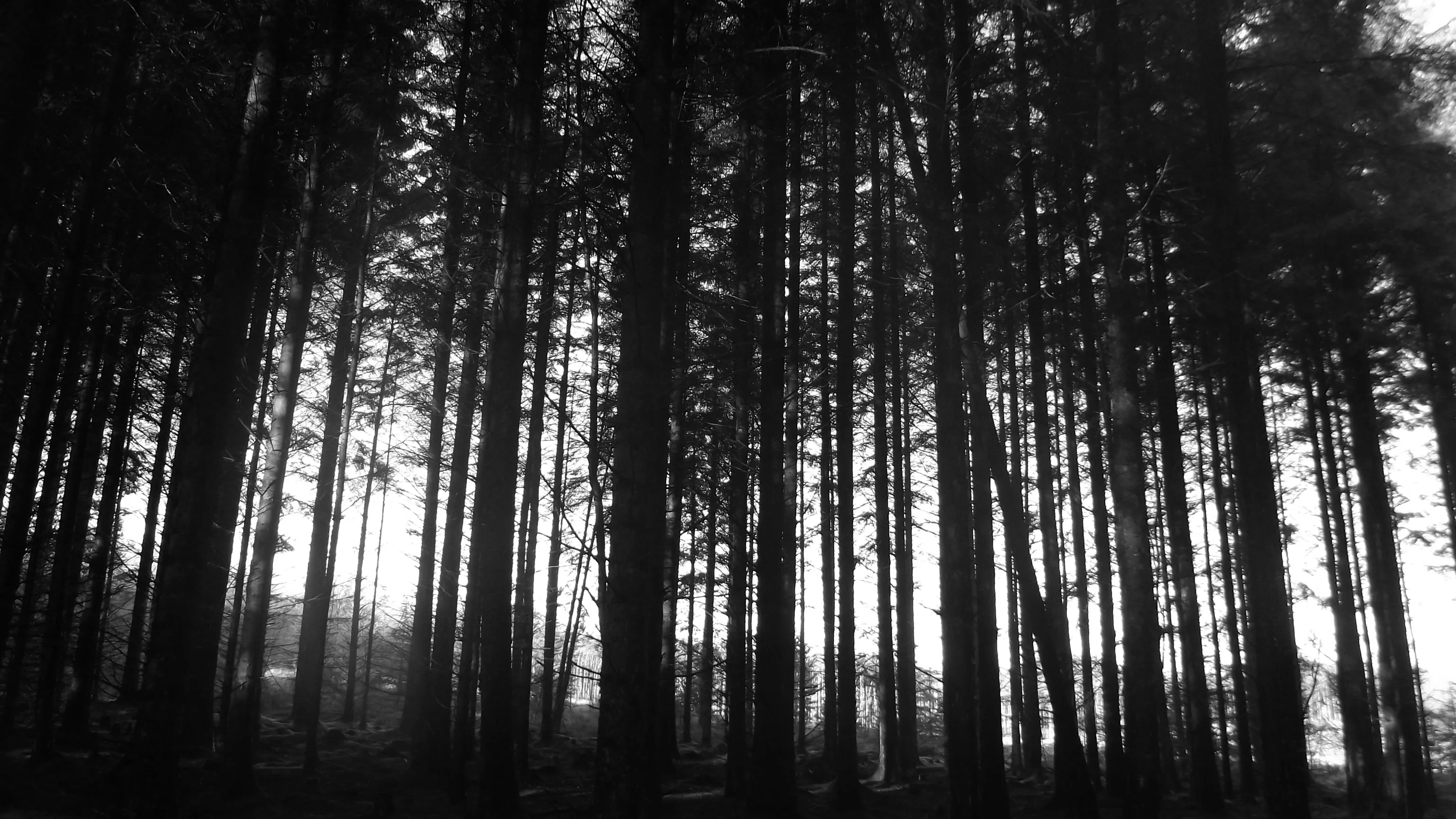 Peace and Tranquility in Black and White
