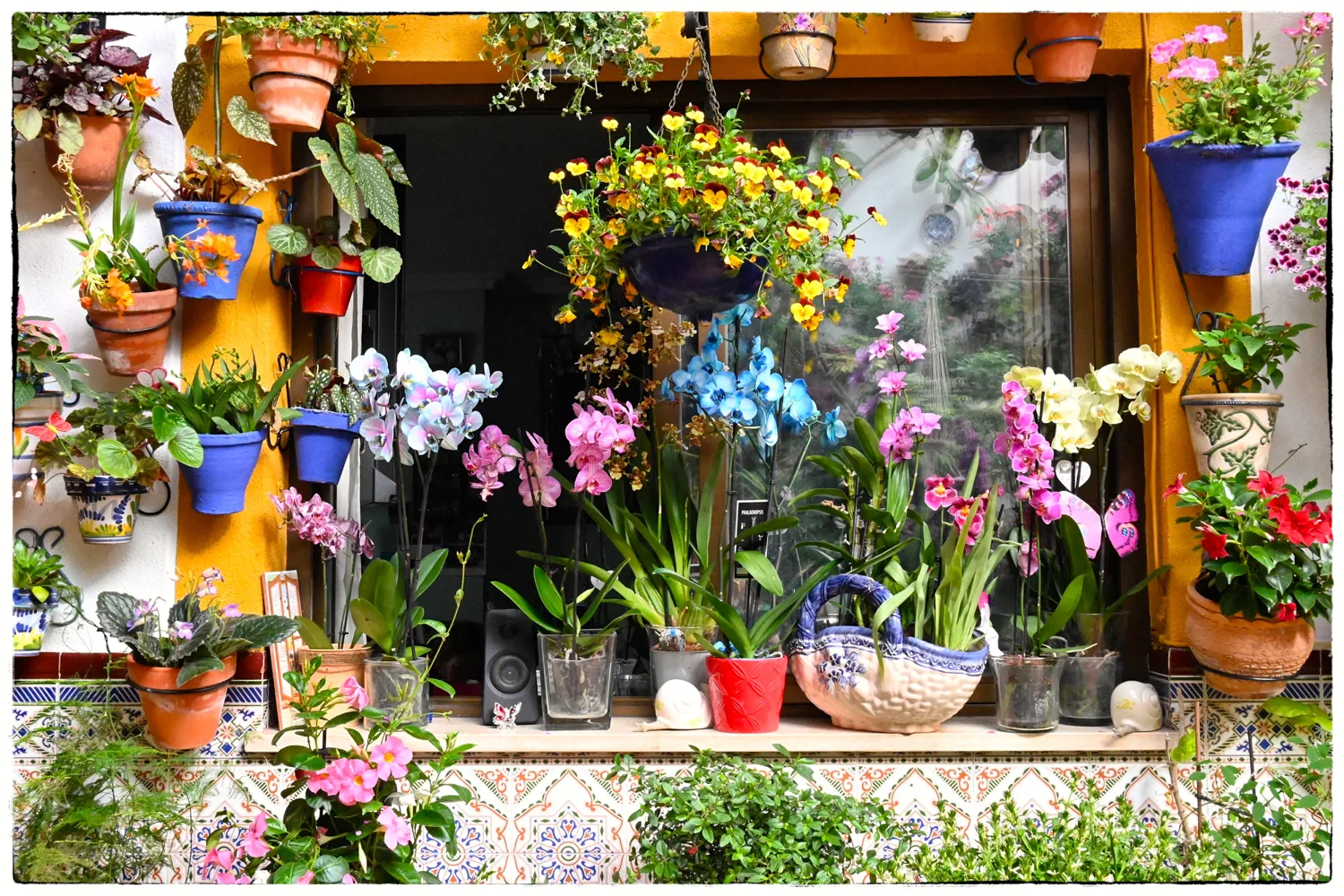 Potted Plants