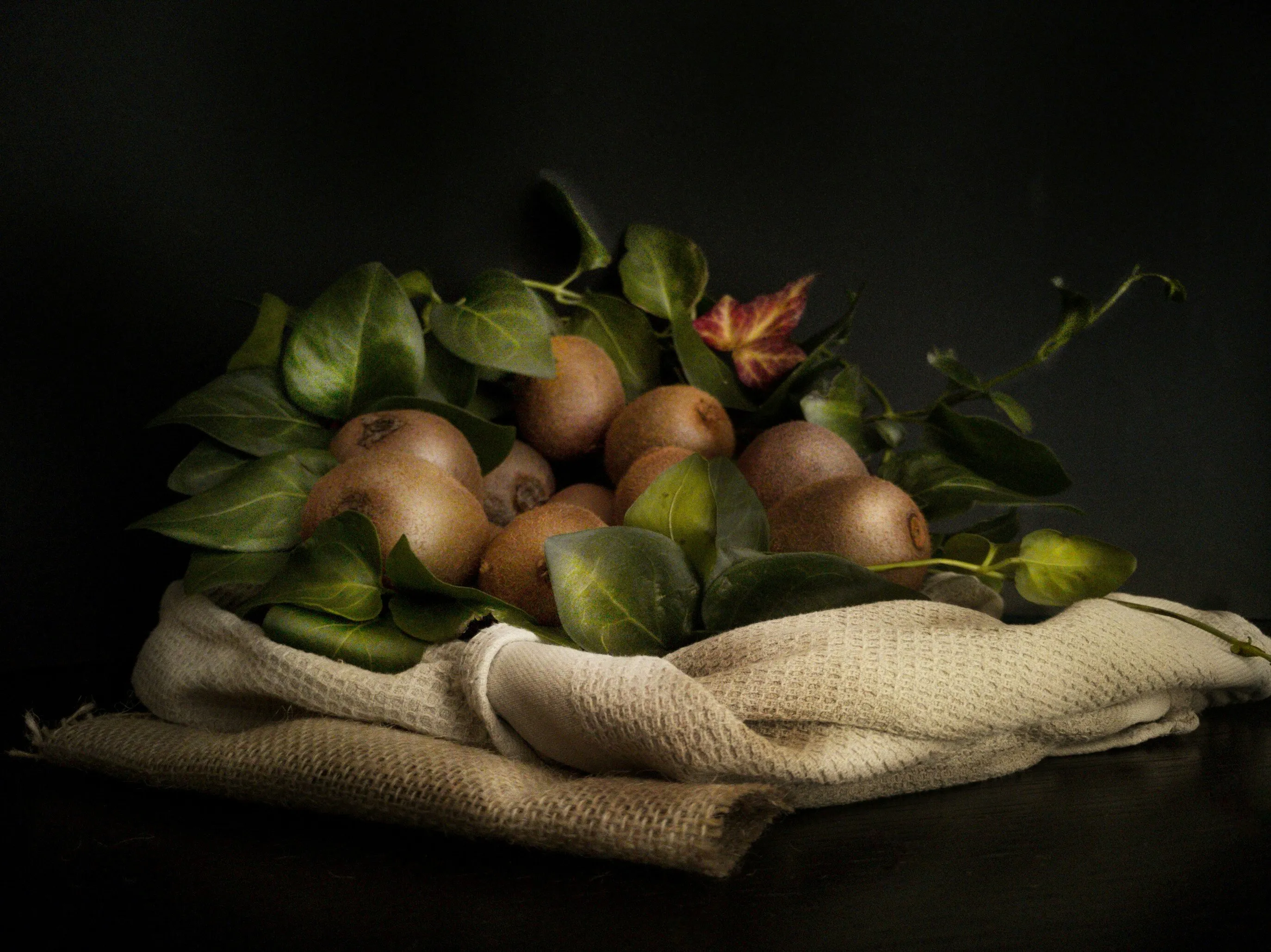 Natural light still life