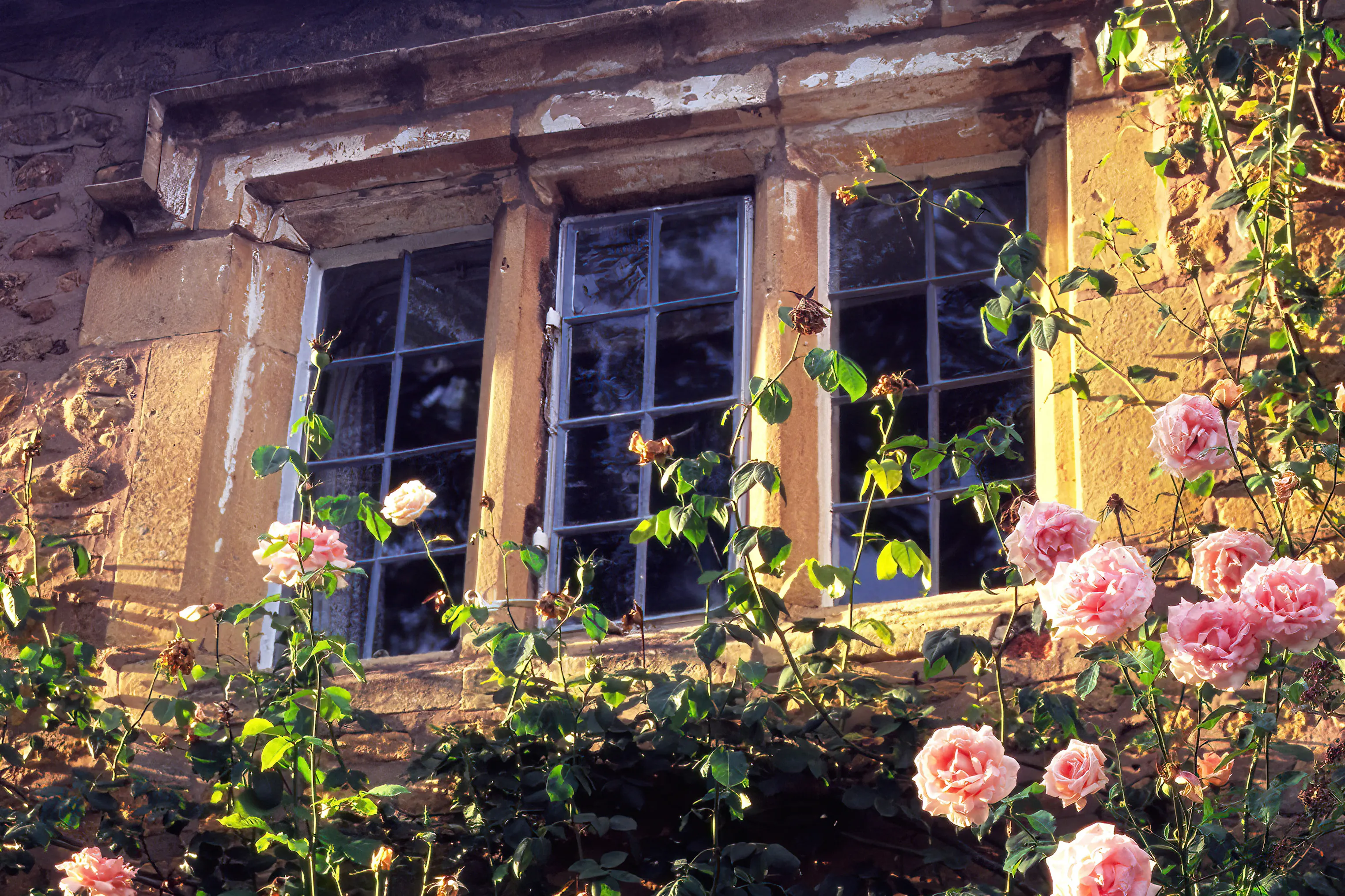 Windows (in colour)