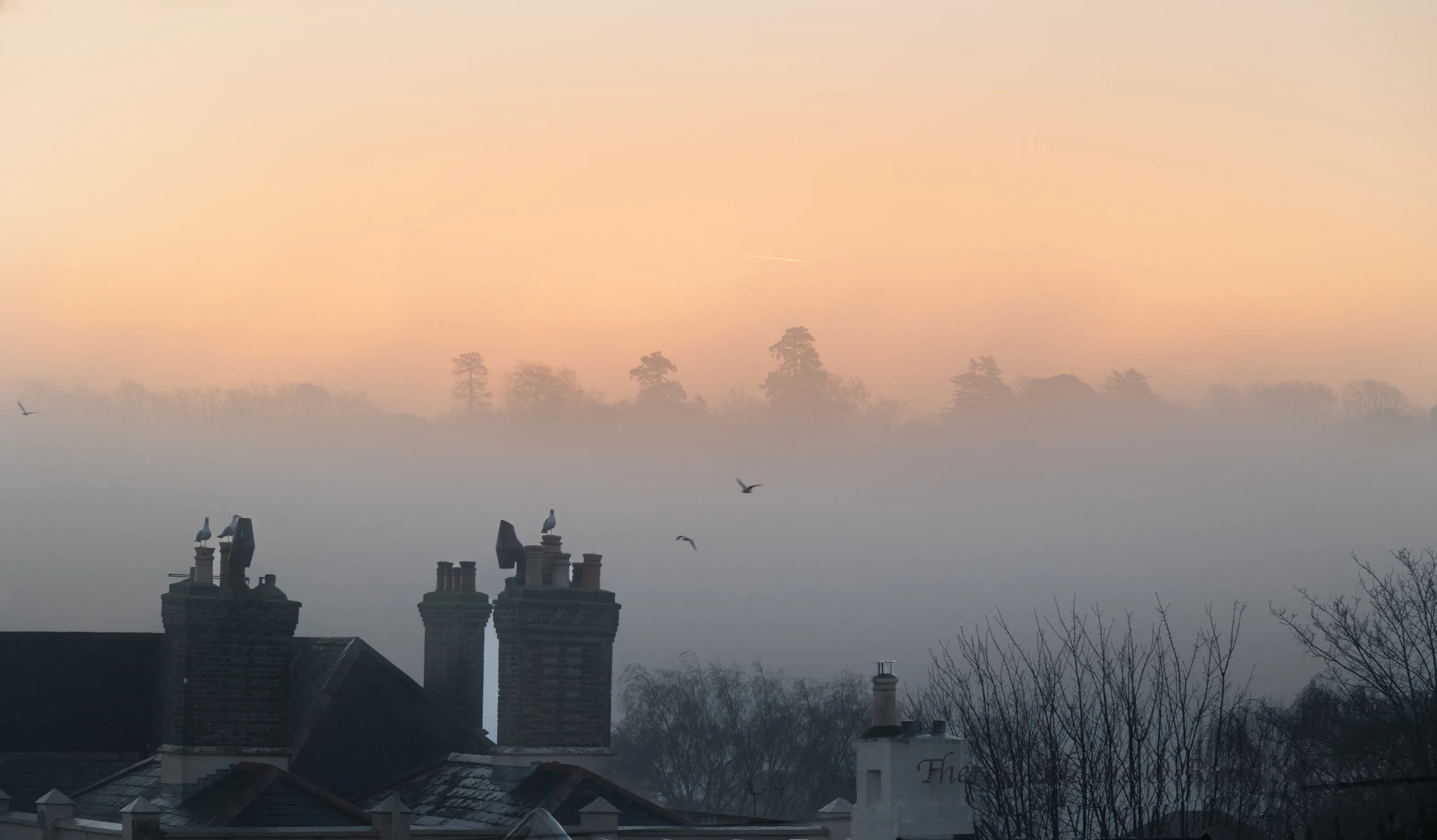 Morning Mist and Fog