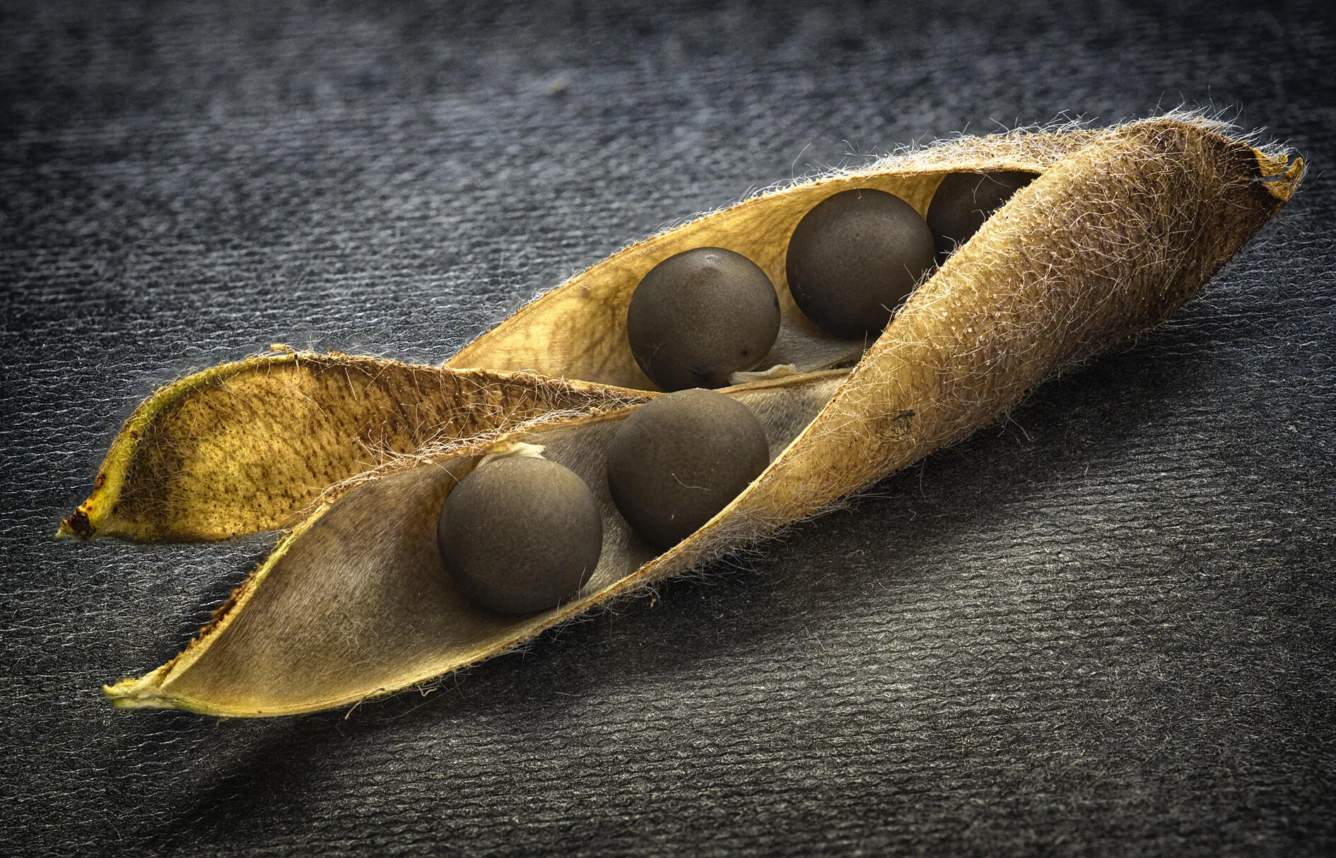 Macro Still Life