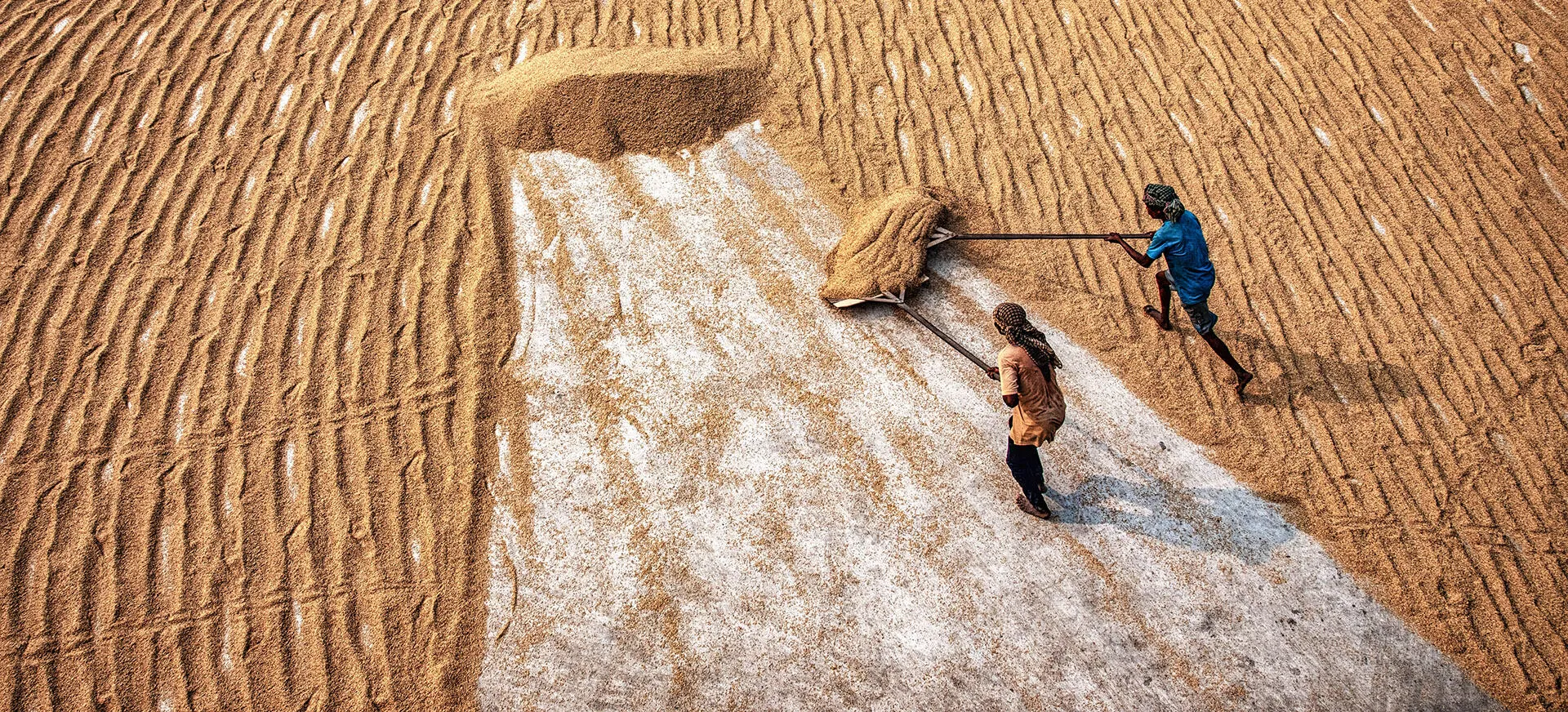 Farming and Food Production
