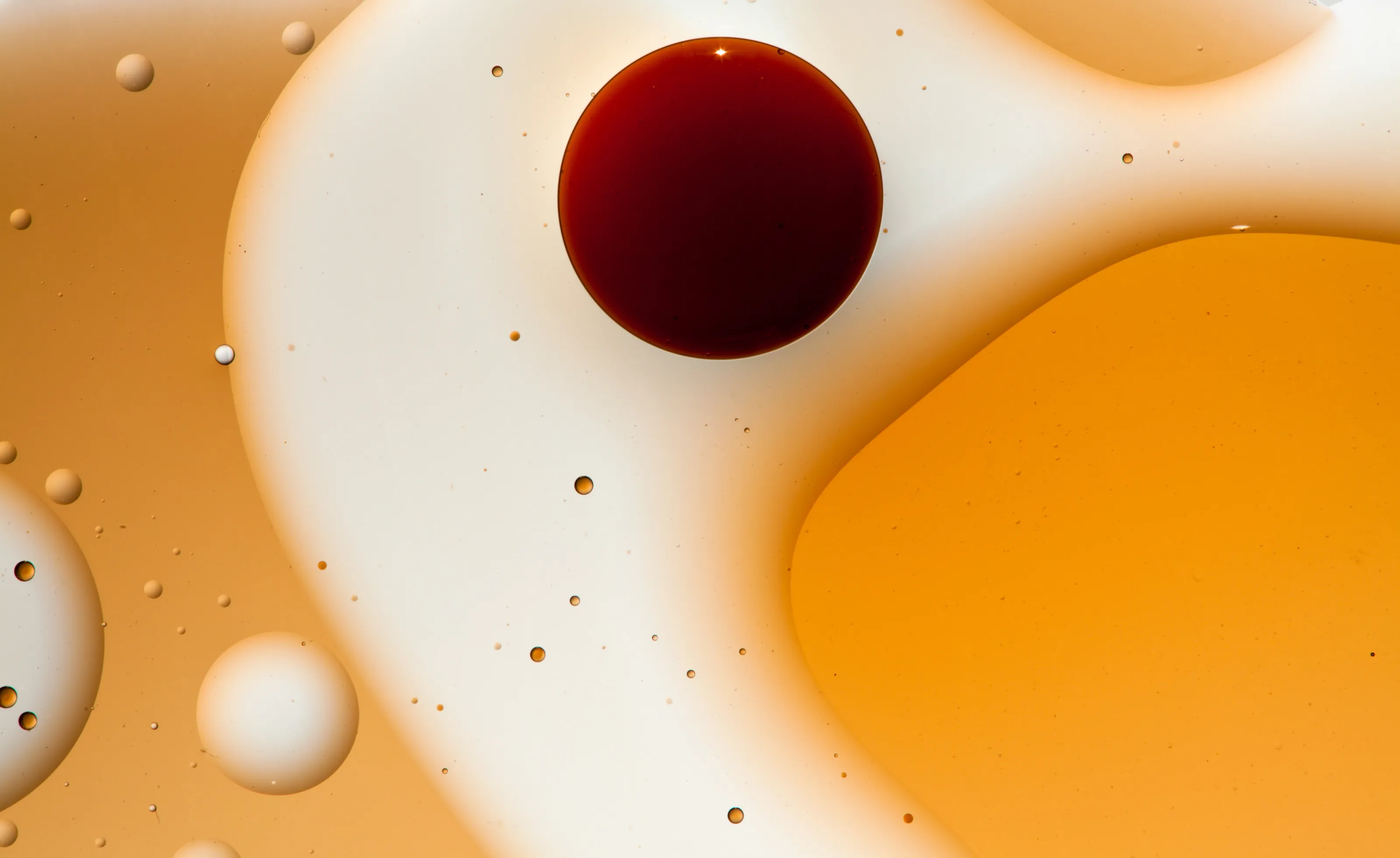 Colourful Macro