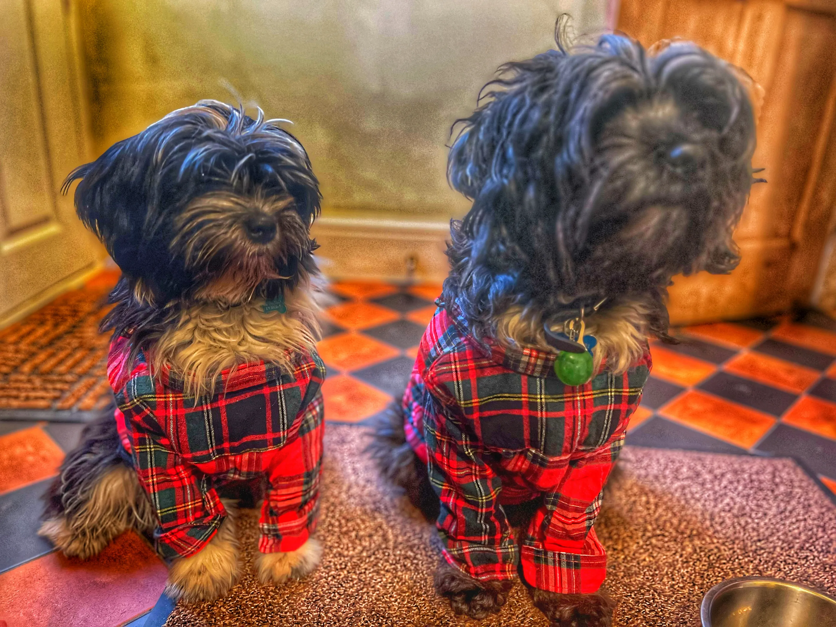Terrific Tartan