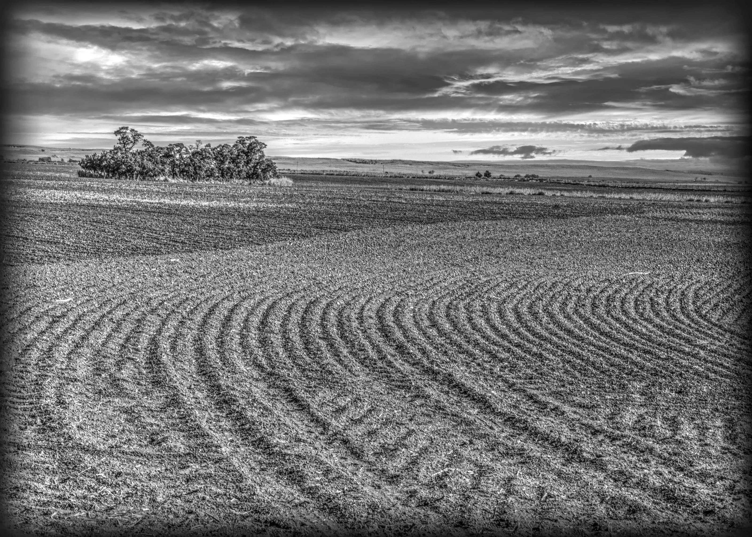 Ploughed Ground