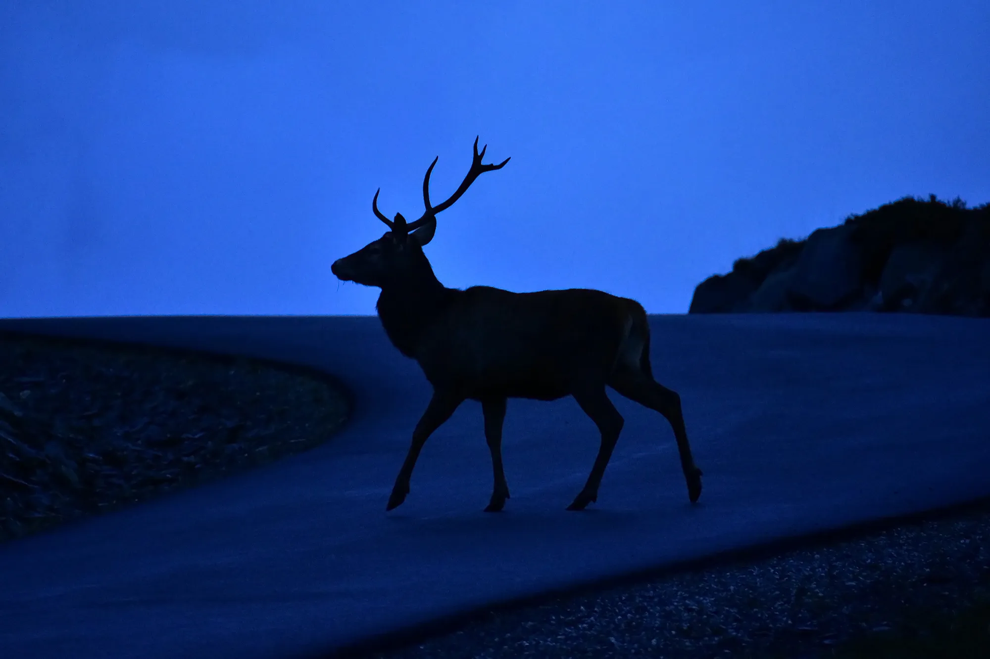 The Blue Hour (in colour)