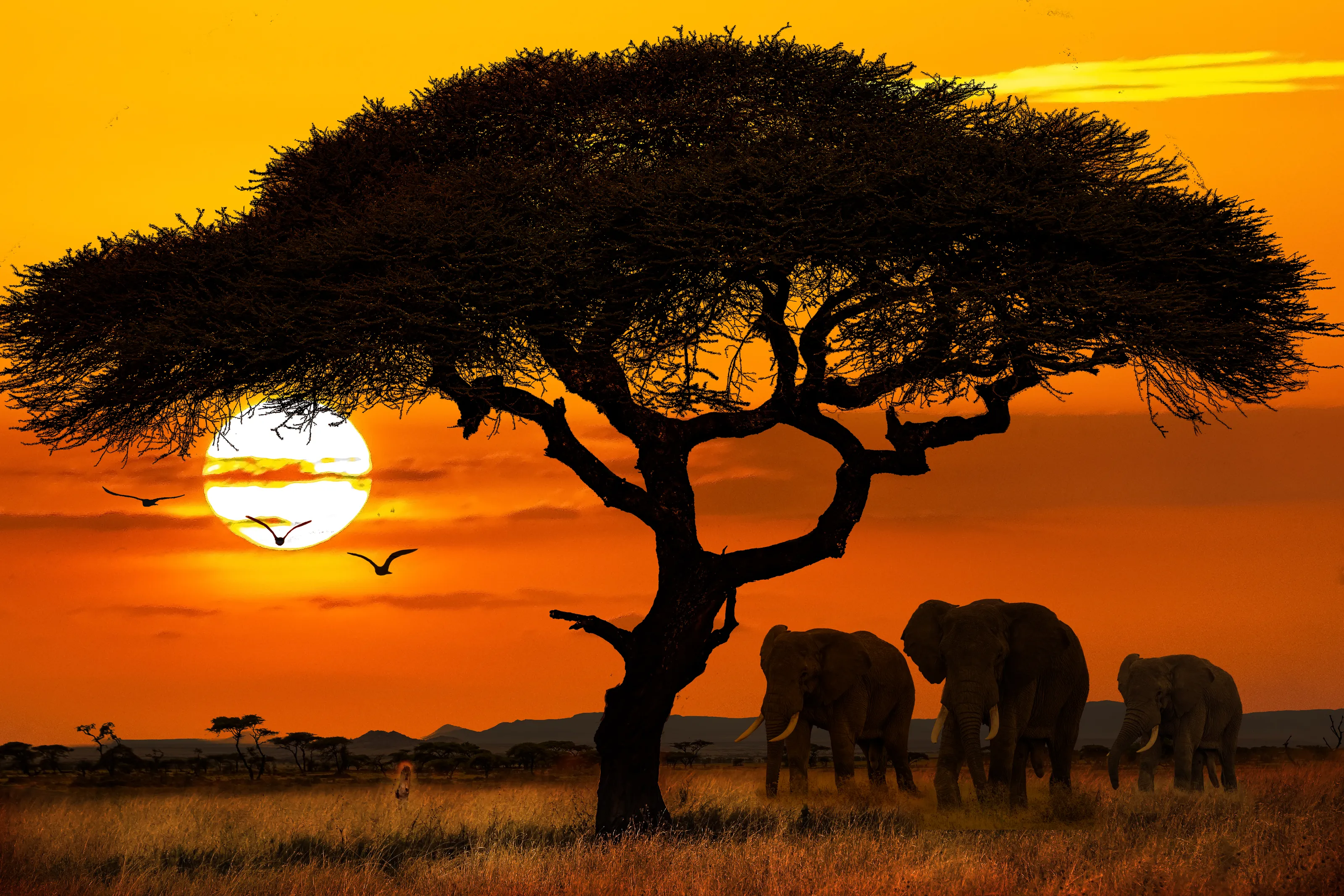 Sunrise or Sunset Over Land (no water)