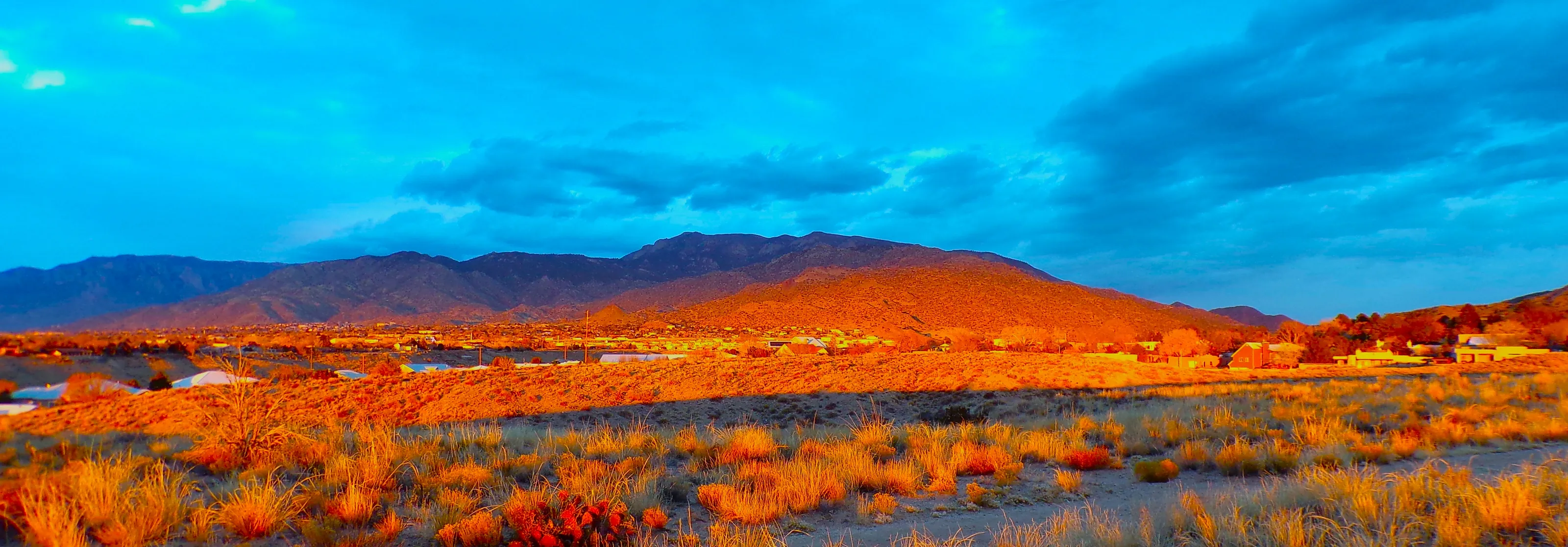 Desert Landscapes with Vivid Colour