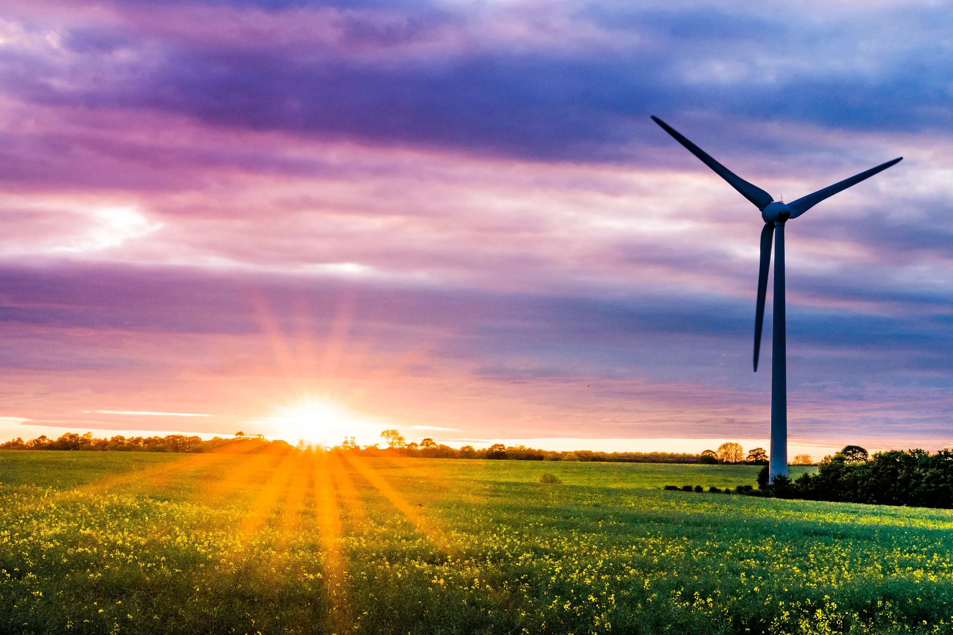 Windmills and Wind Turbines