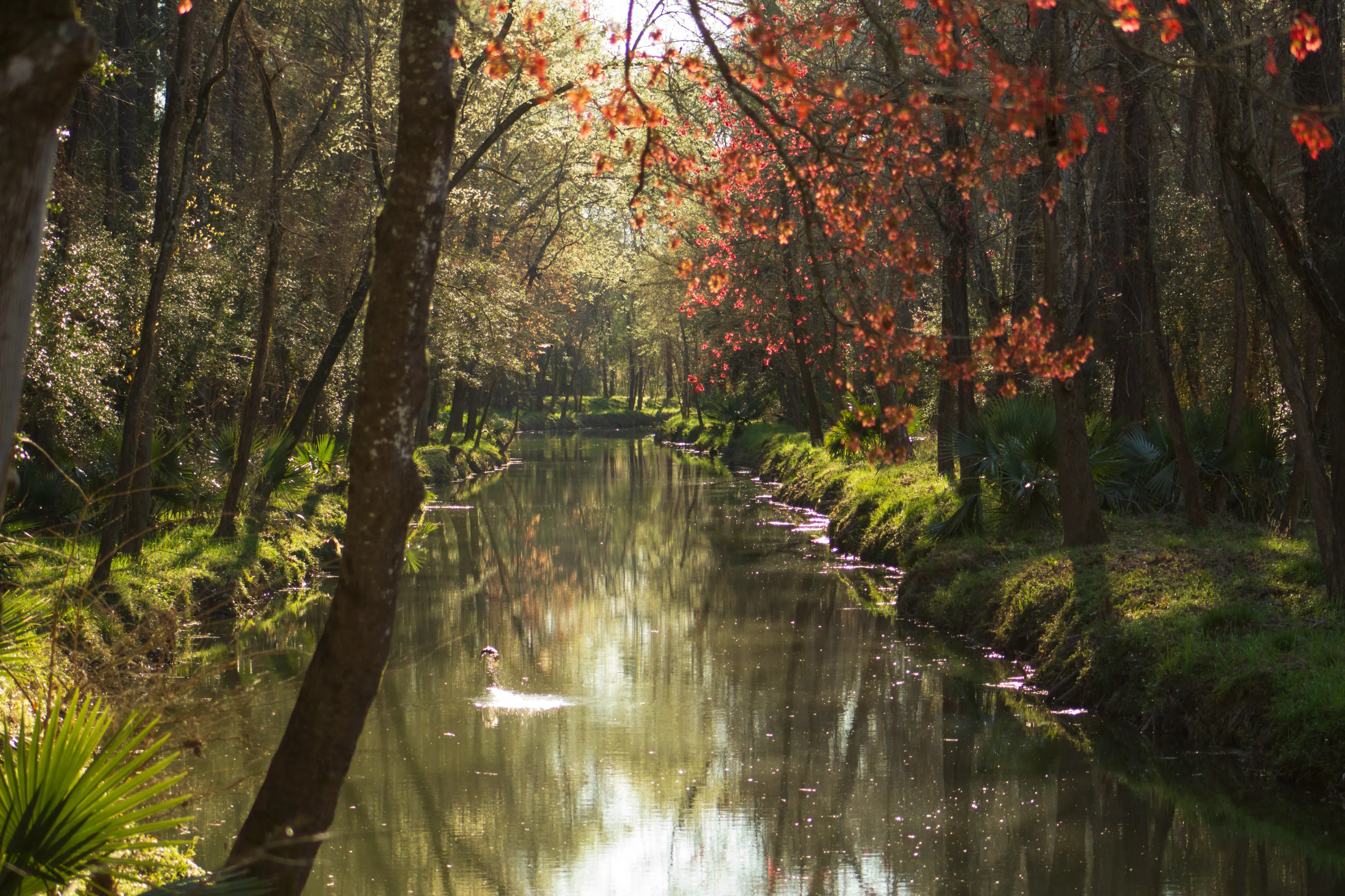 Waterscapes
