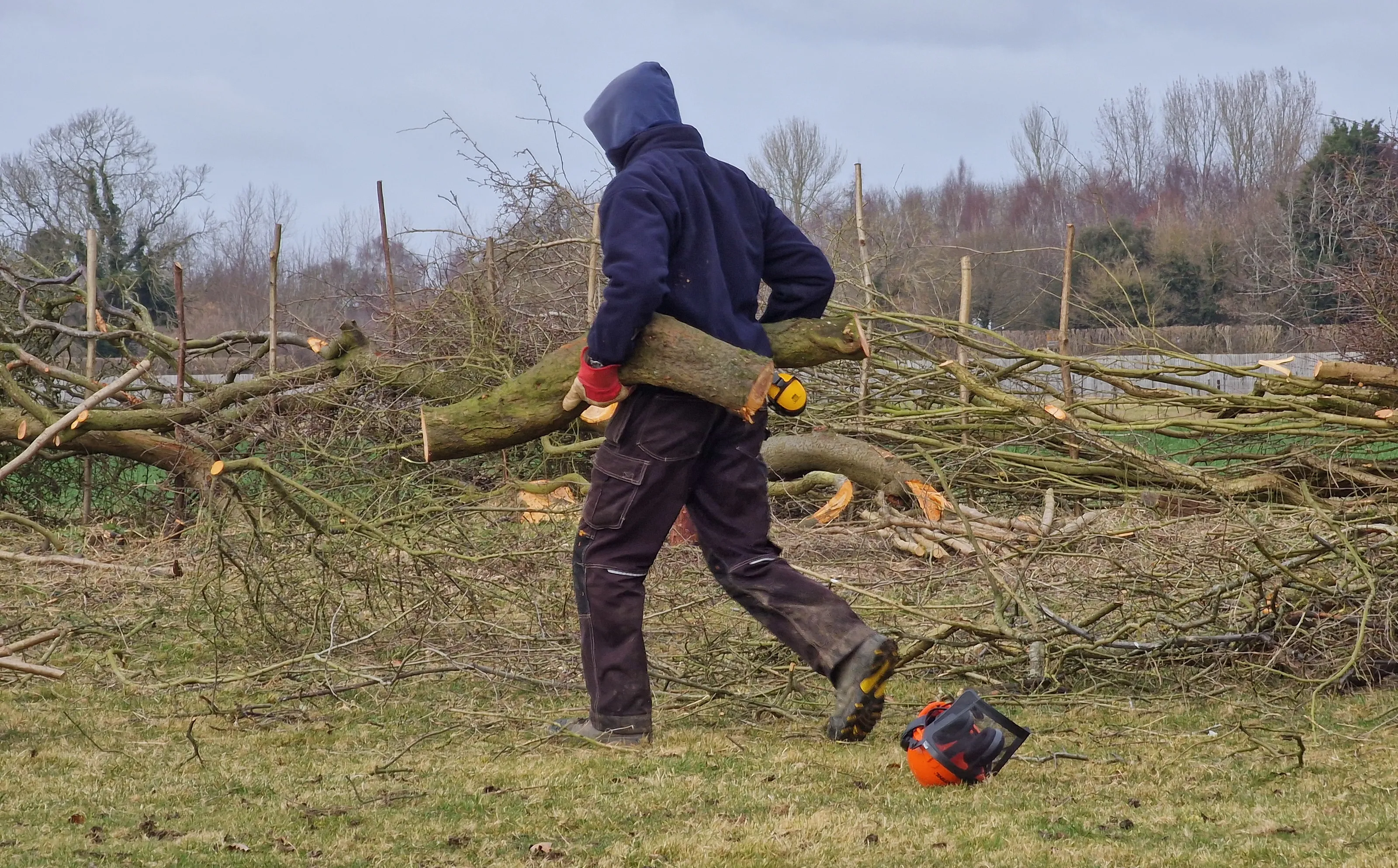 People Carrying Out Wild Habitat Management
