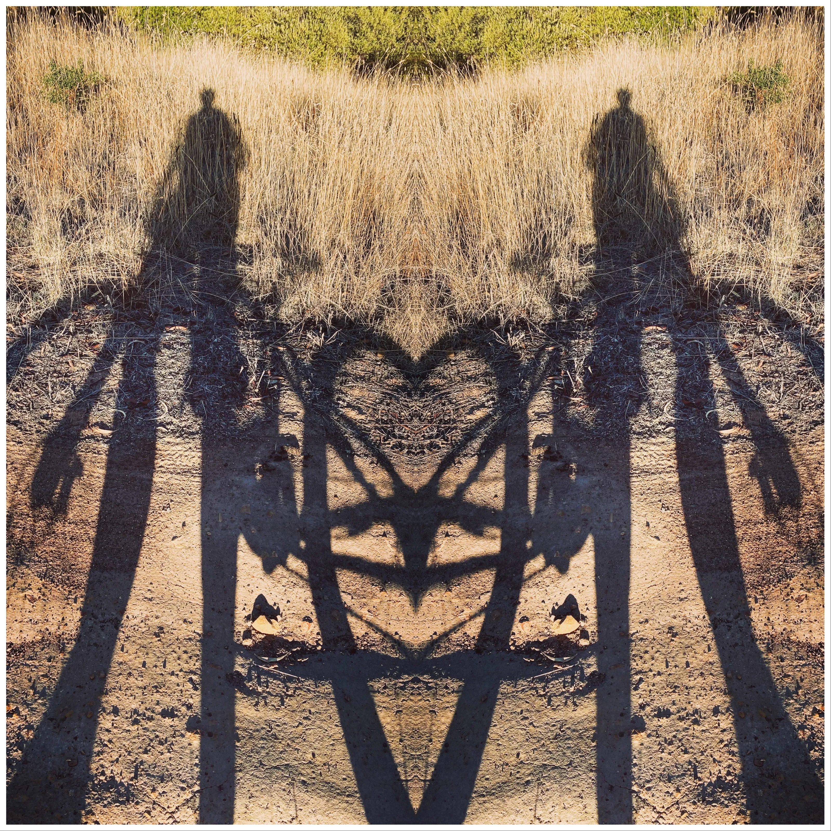 Shadows