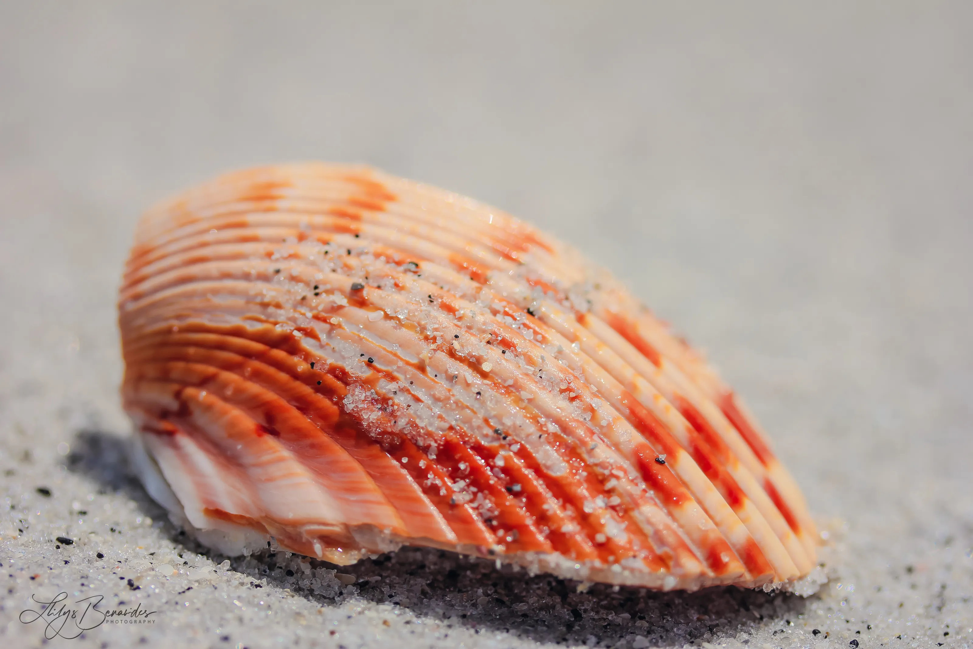 Found on a Beach