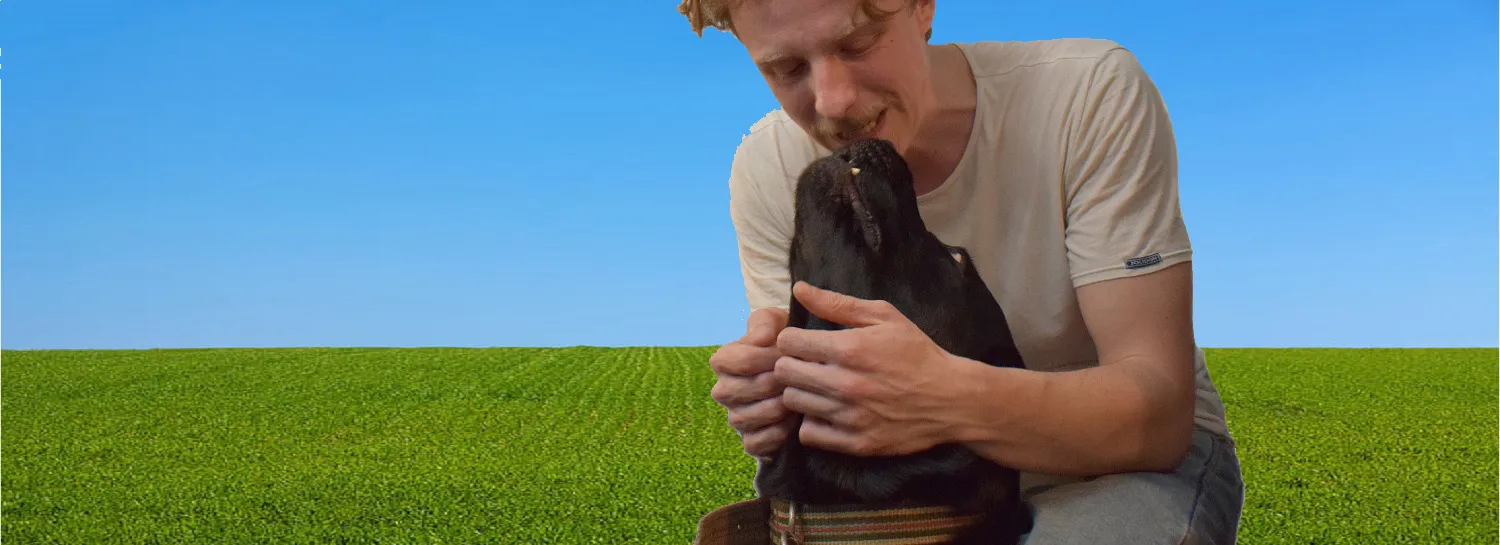Pets Playing with People