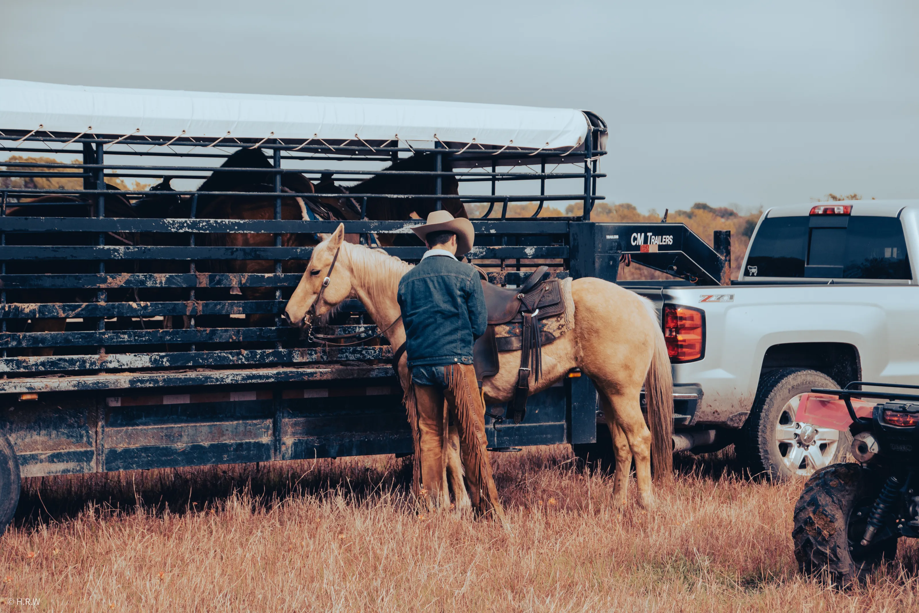 Working Horses