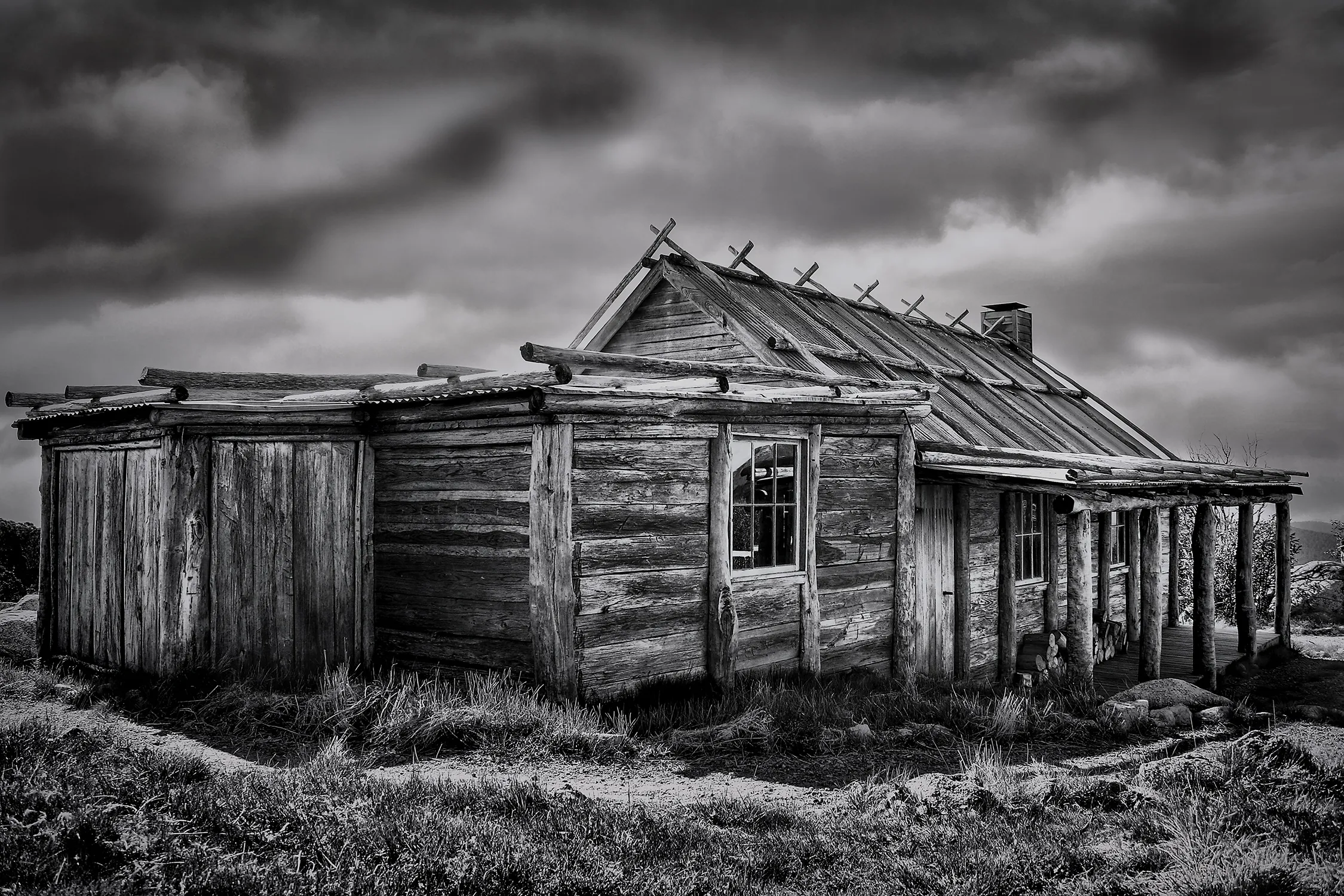 Wood in Black and White