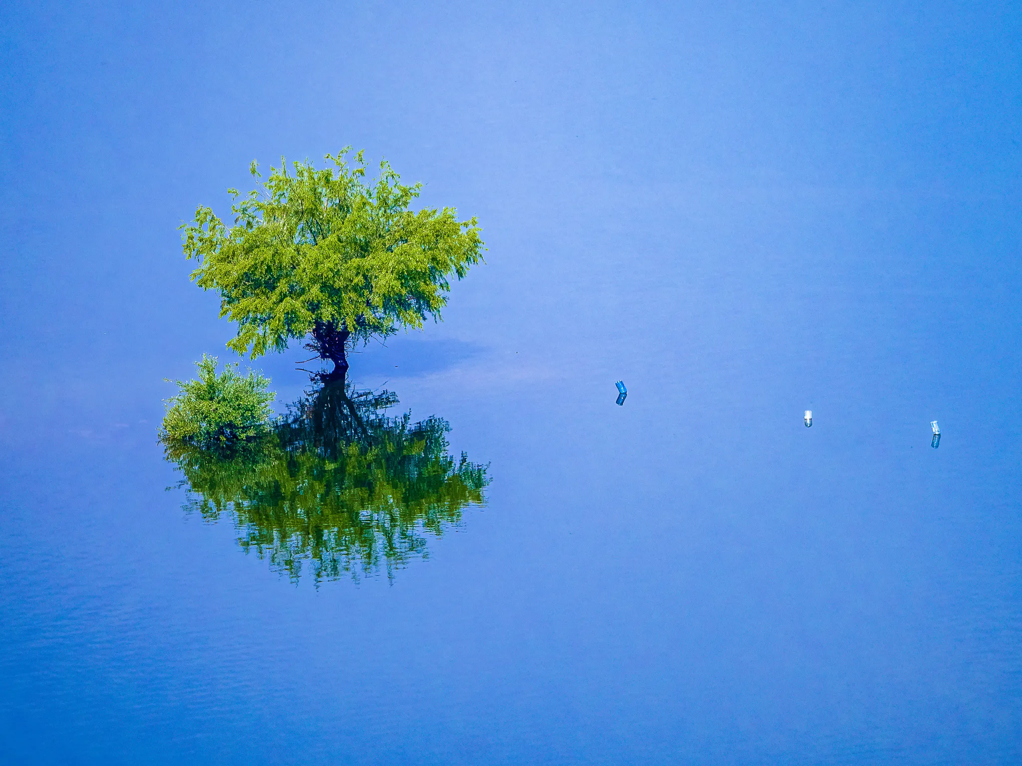 Minimalism in Nature