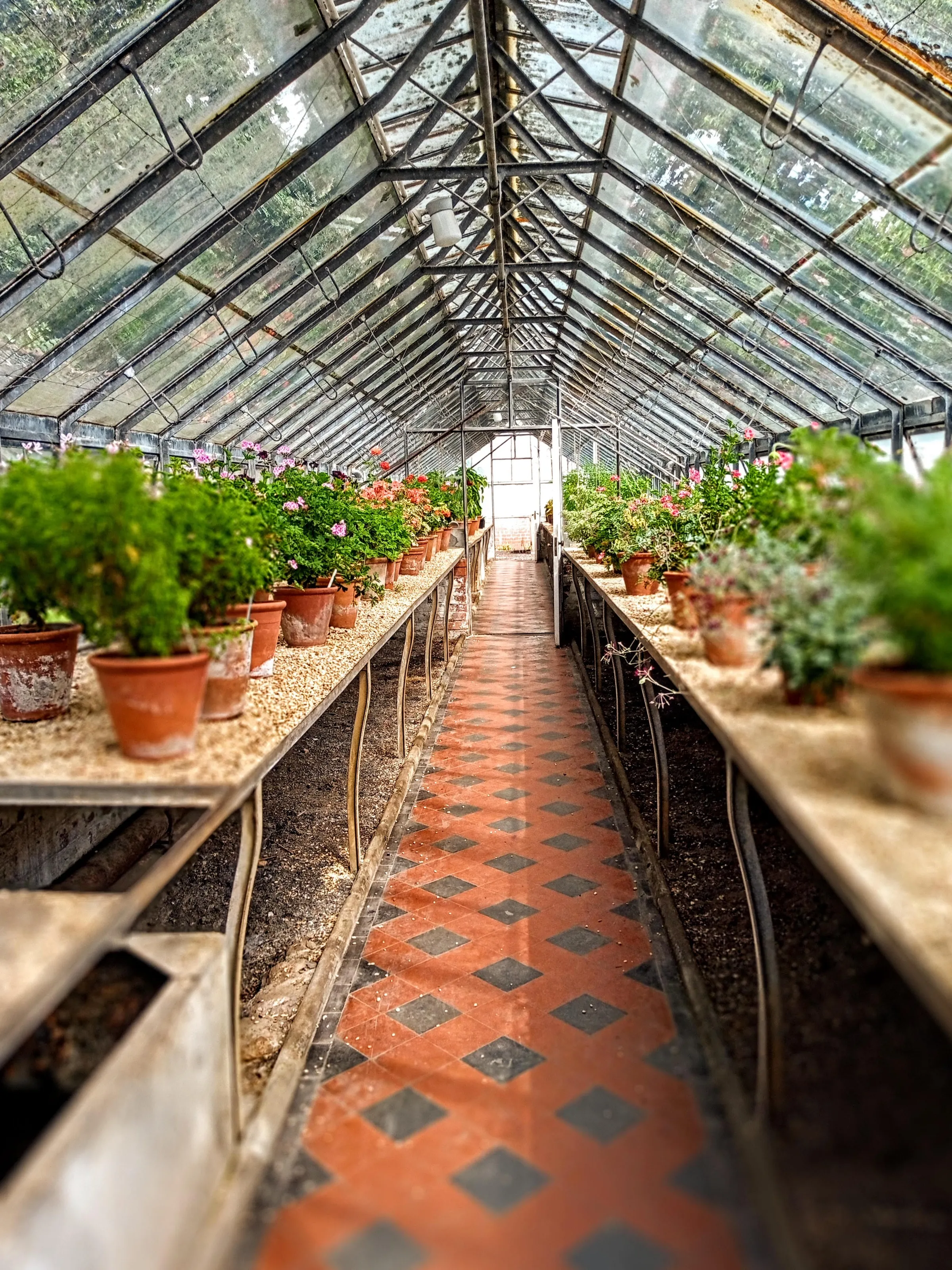 Interiors of Greenhouses