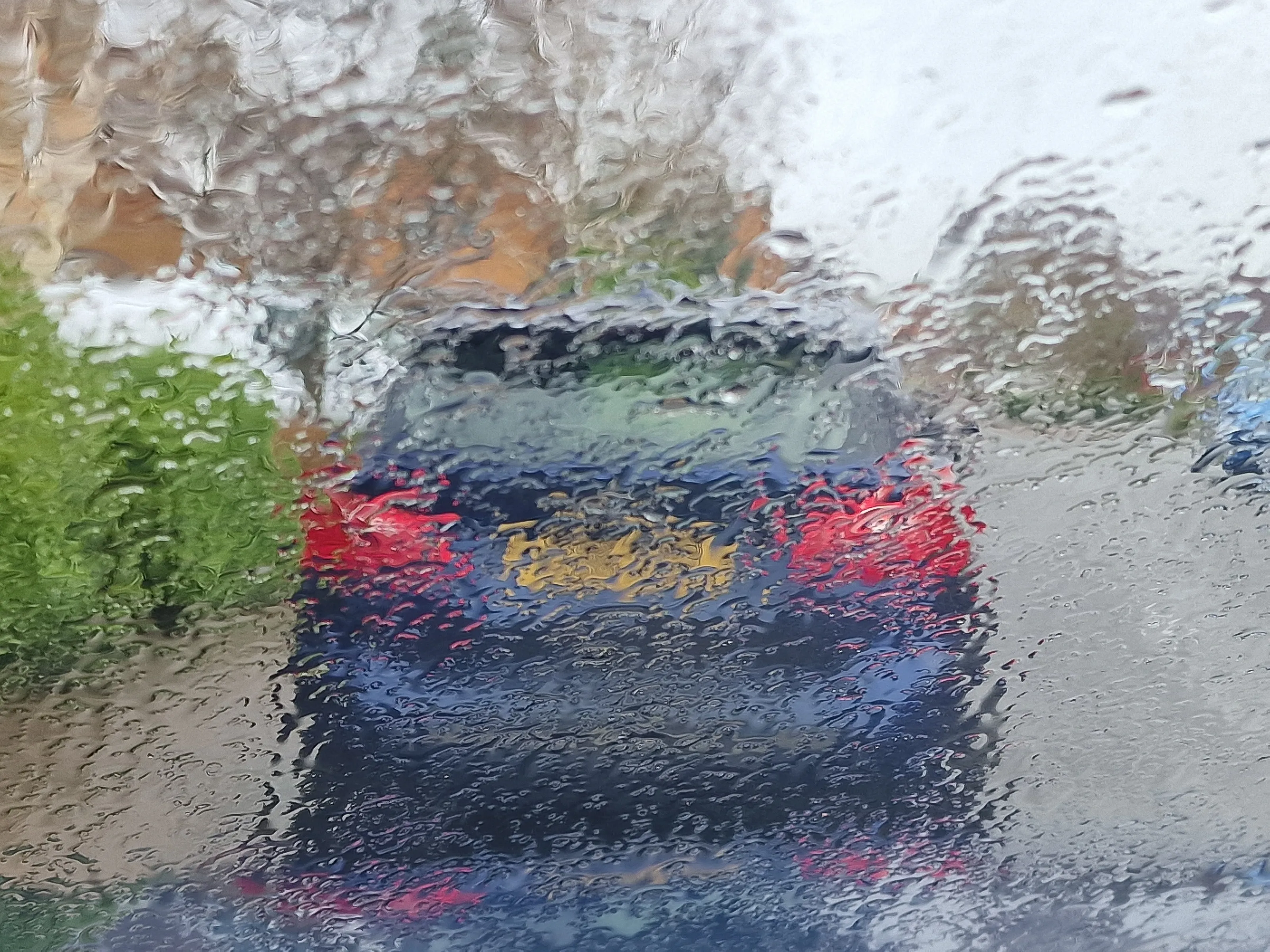 View Through Rain